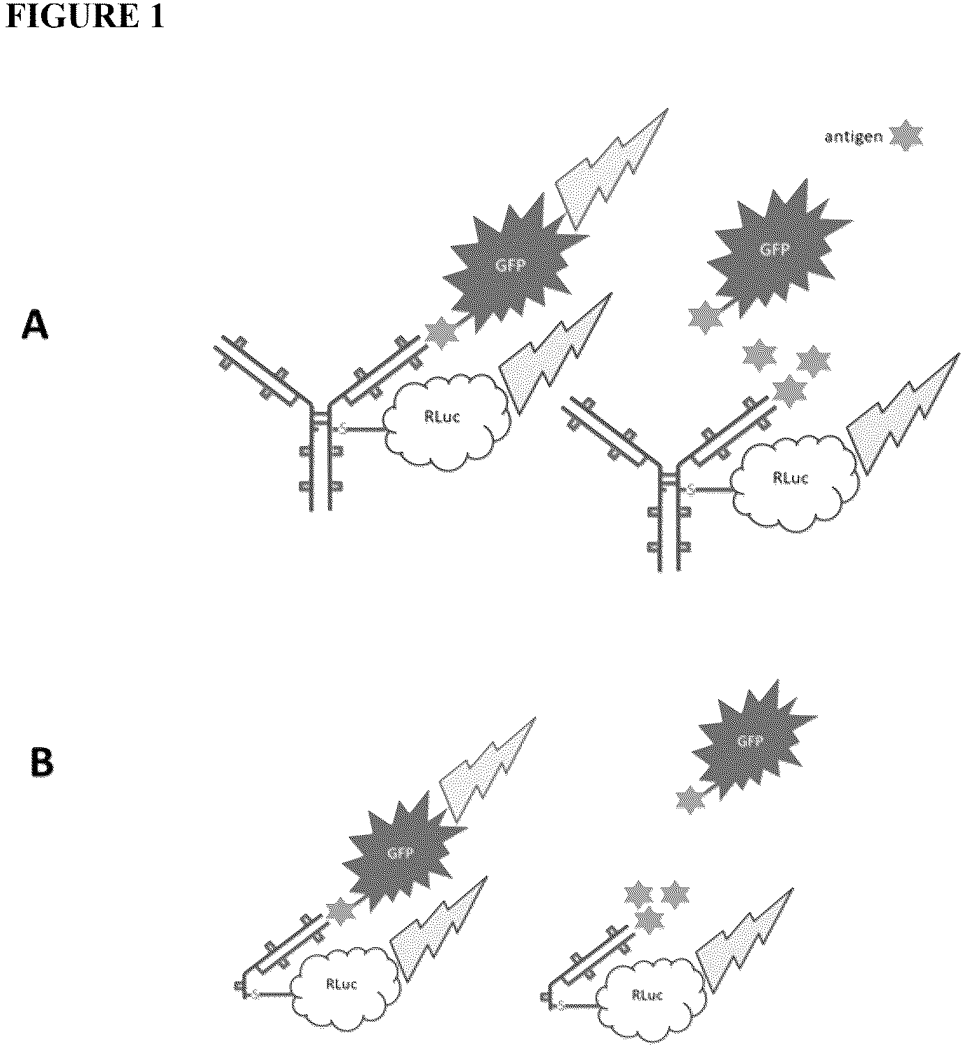 Patent US12422369 — Immunosensor — Figure 1