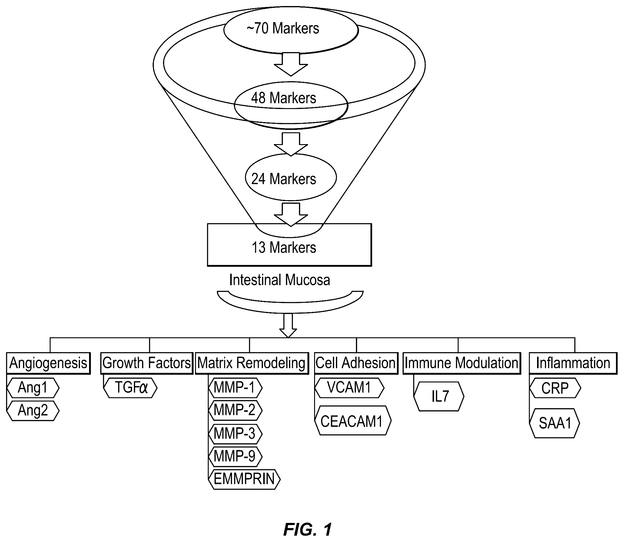 Patent US12422432 Figure 1 – Methods for assessing mucosal healing in inflammatory bowel disease patients