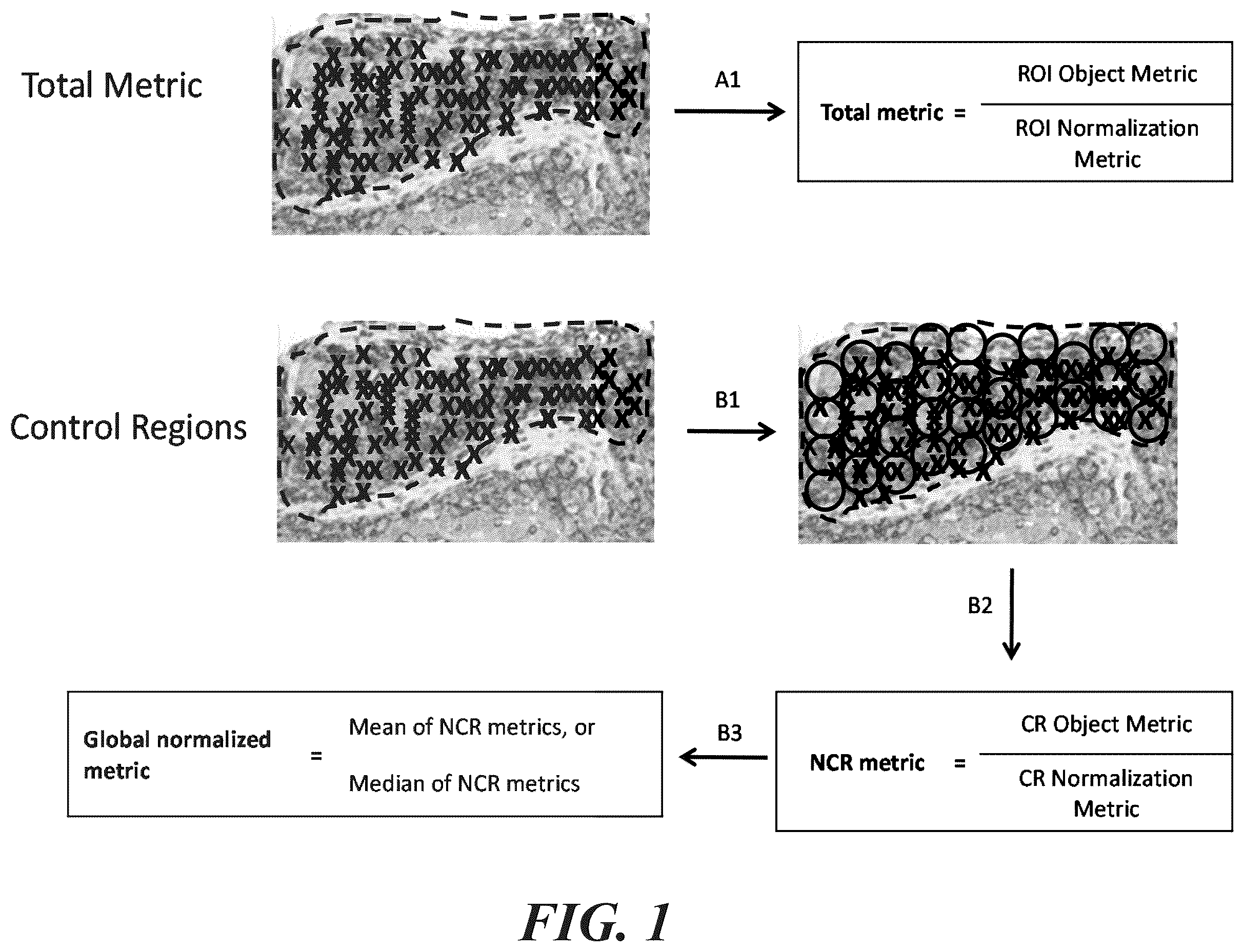 Patent US12422435 Figure 1 – Methods and systems for evaluation of immune cell infiltrate in stage III colorectal cancer