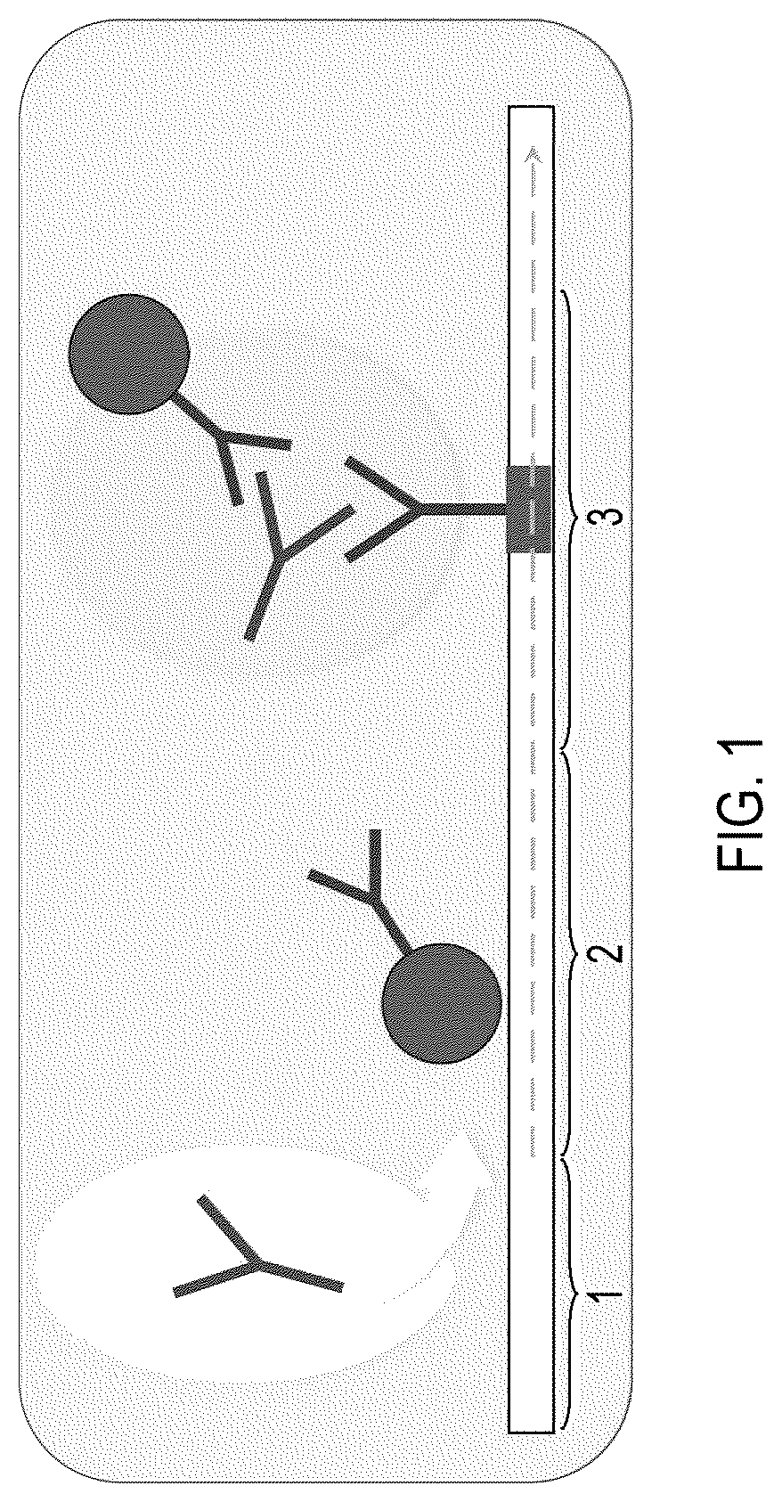 Patent US12422444 — Lateral flow immunoassays for the detection of antibodies against biological drugs — Figure 1