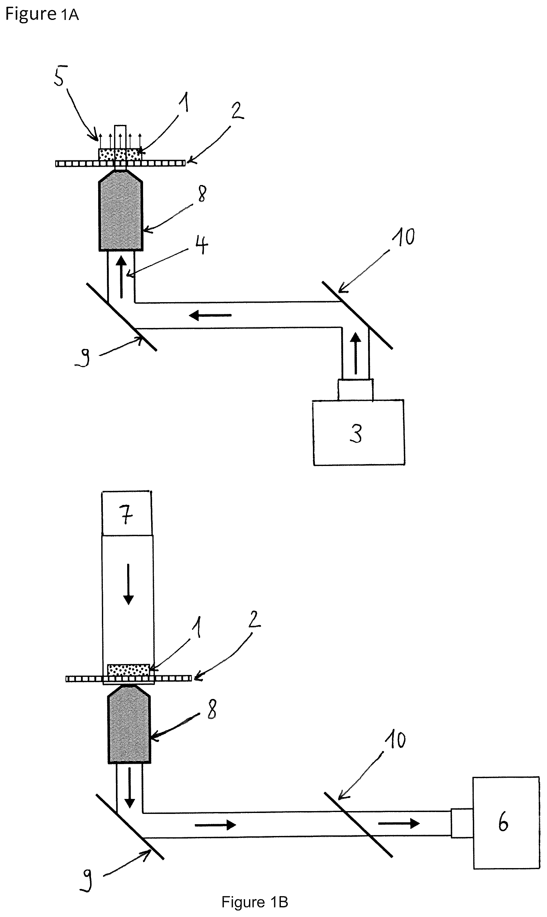 Patent US12422657 — Apparatus and method for detecting a spatial elongation of at least one adherent biological cell — Figure 1