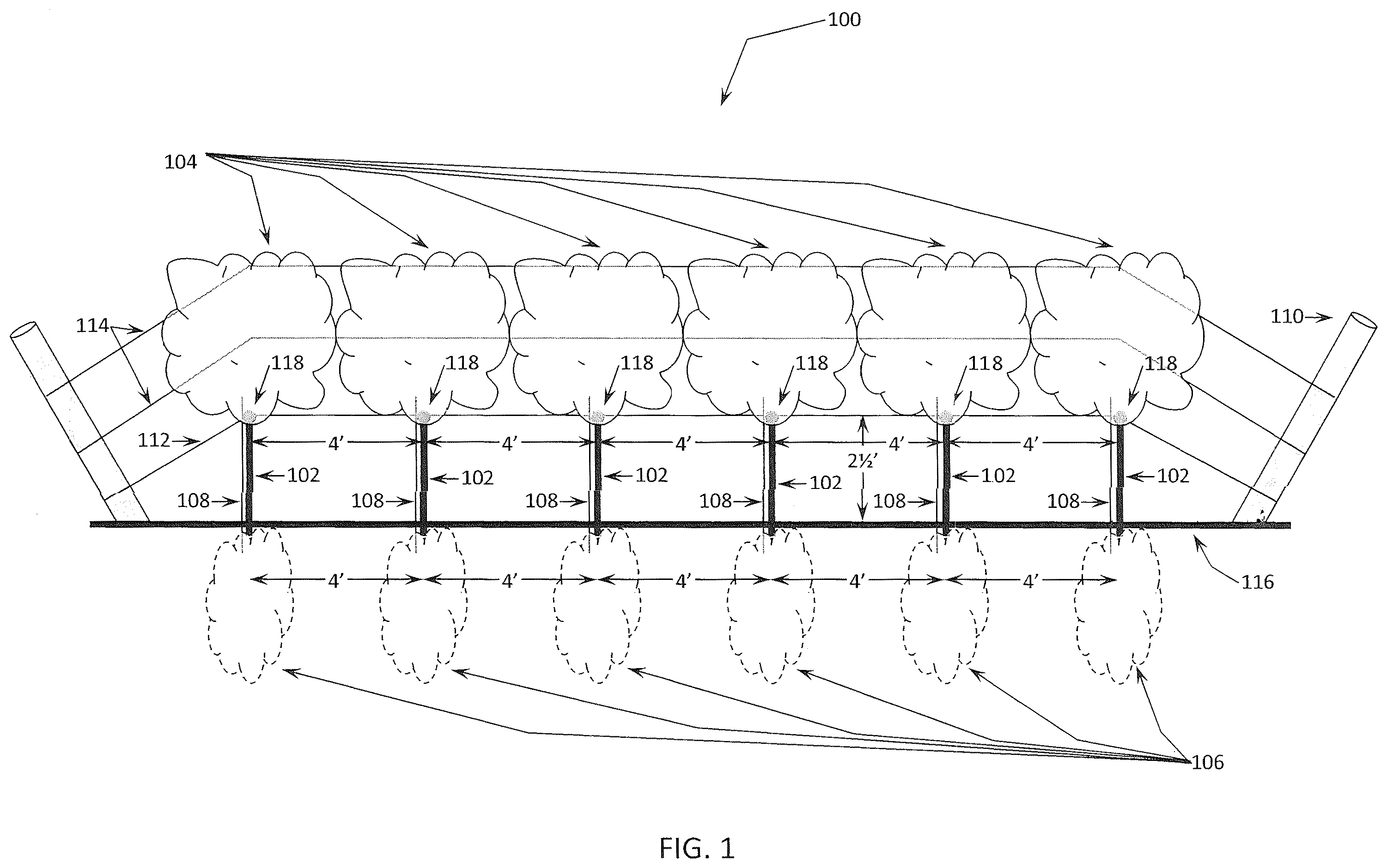 Patent US12426551 — In-ground clustering for plants — Figure 1