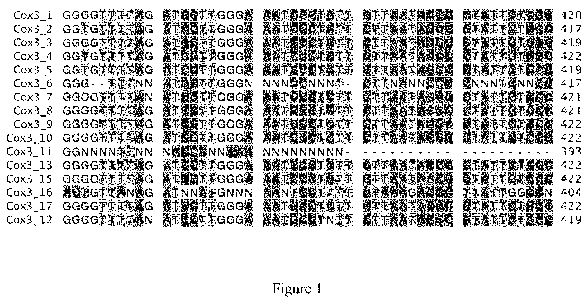 Patent US12426559 Figure 1 – Triticale cultivar 343CMS and novel sequences for male sterility