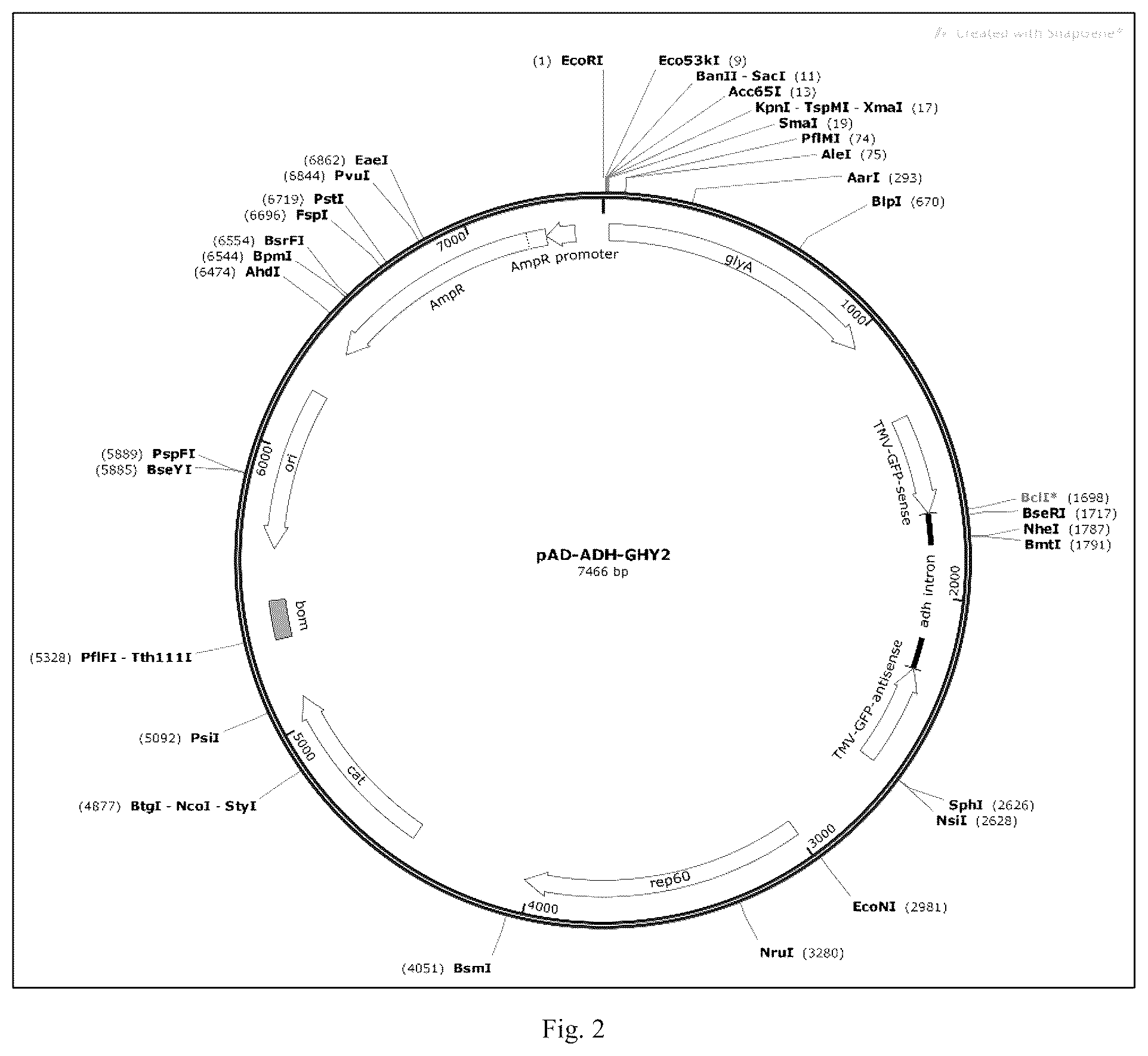 Patent US12426568 Figure 2 – System and methods for the biocontrol of plant pathogens