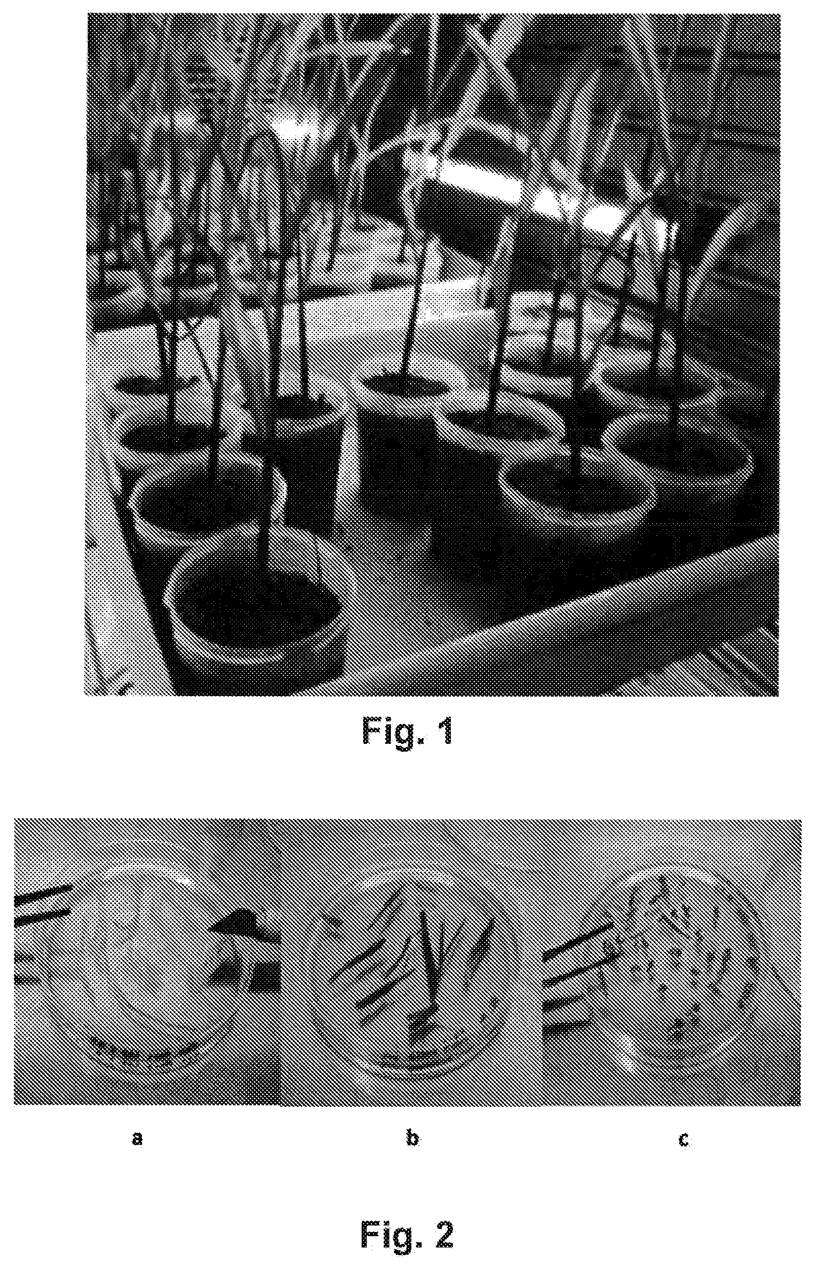 Patent US12426600 — Methylobacterium sp. nov. strain, compositions comprising it, and its use as bio-stimulant and endophyte nitrogen-fixing bacterium — Figure 1