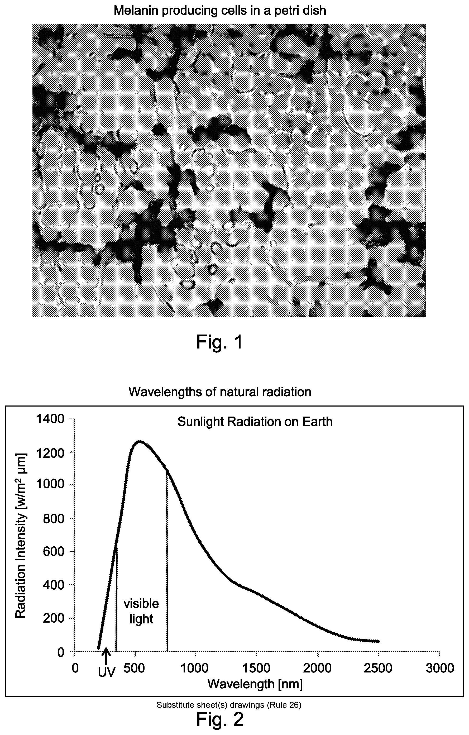 Patent US12426601 — Functional microbiological coating — Figure 1