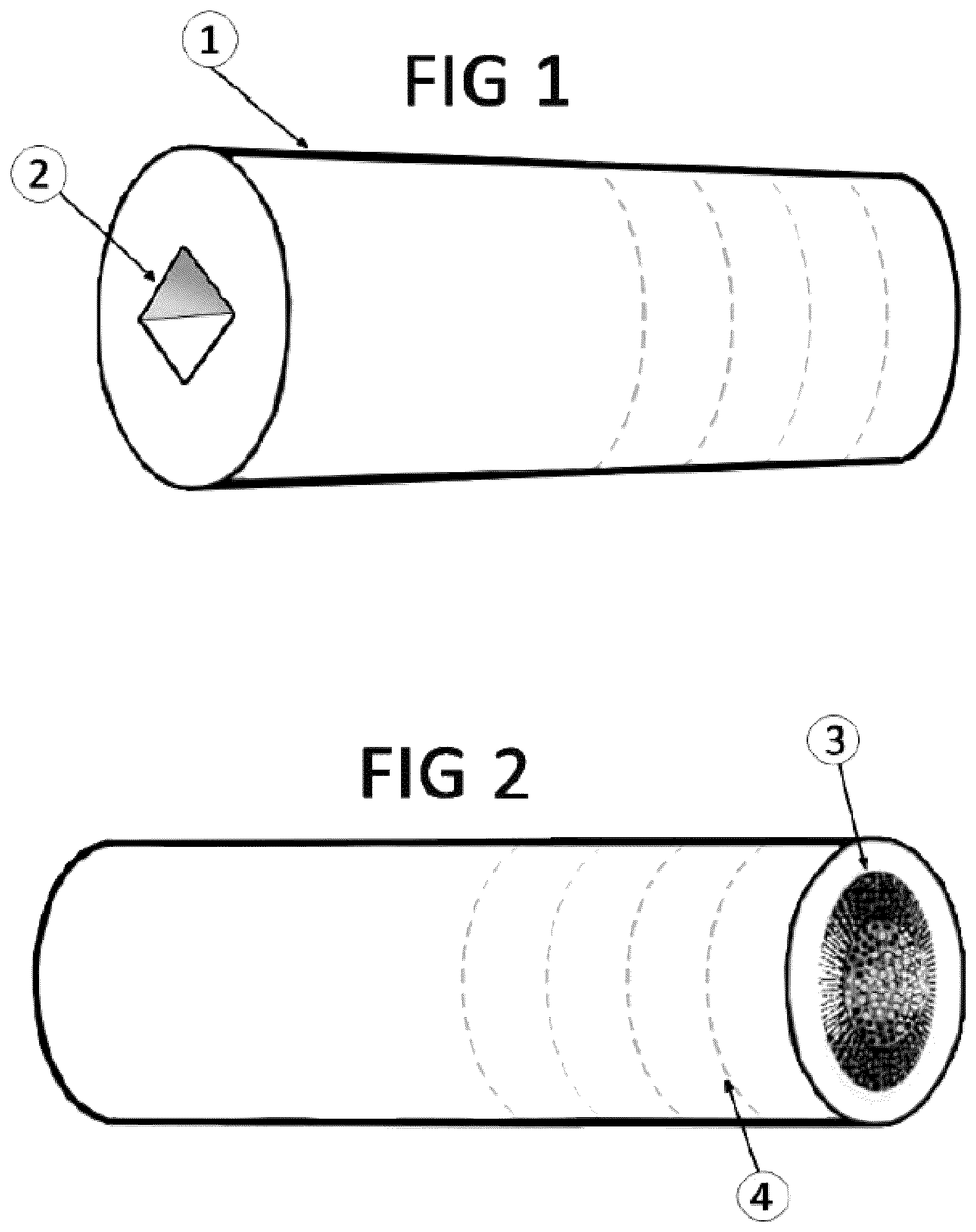 Patent US12426702 — Rejuvenatable wire brush socket — Figure 1