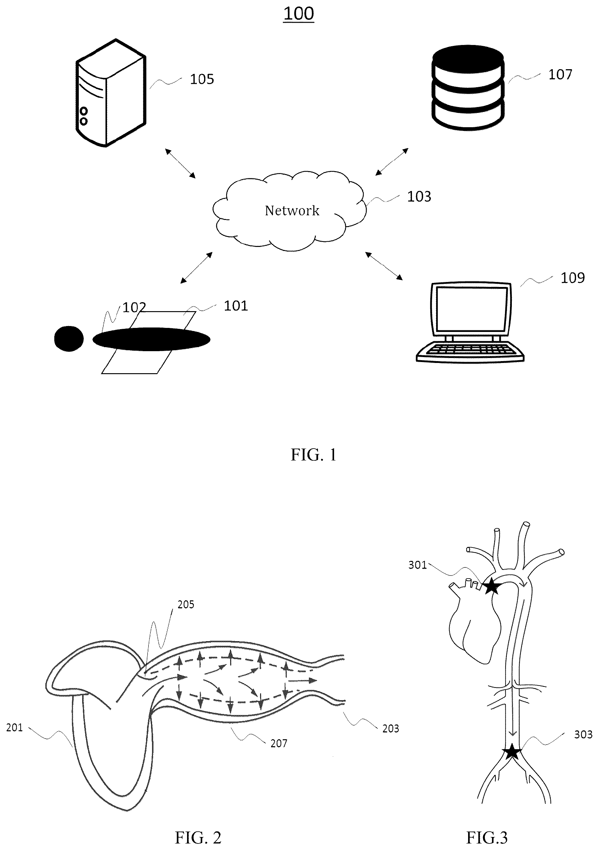 Patent US12426794 — Pulse wave conduction parameter measuring method and pulse wave conduction parameter processing device — Figure 1