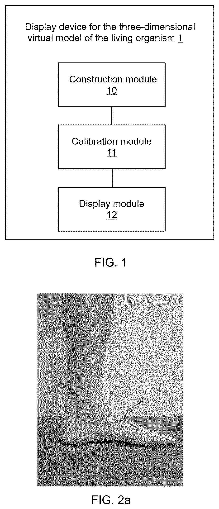 Patent US12426985 — Display device and system for three-dimensional virtual model of living organism, and mixed reality device — Figure 1