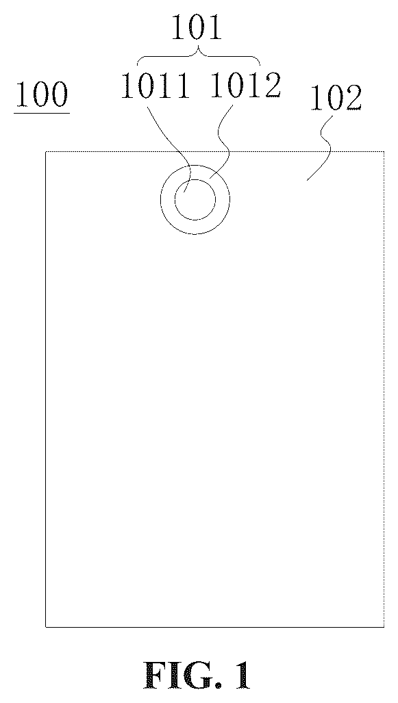 Patent US12433098 — Display panel and display device with reduced thickness of light-emitting layer in display light-transmitting region — Figure 1