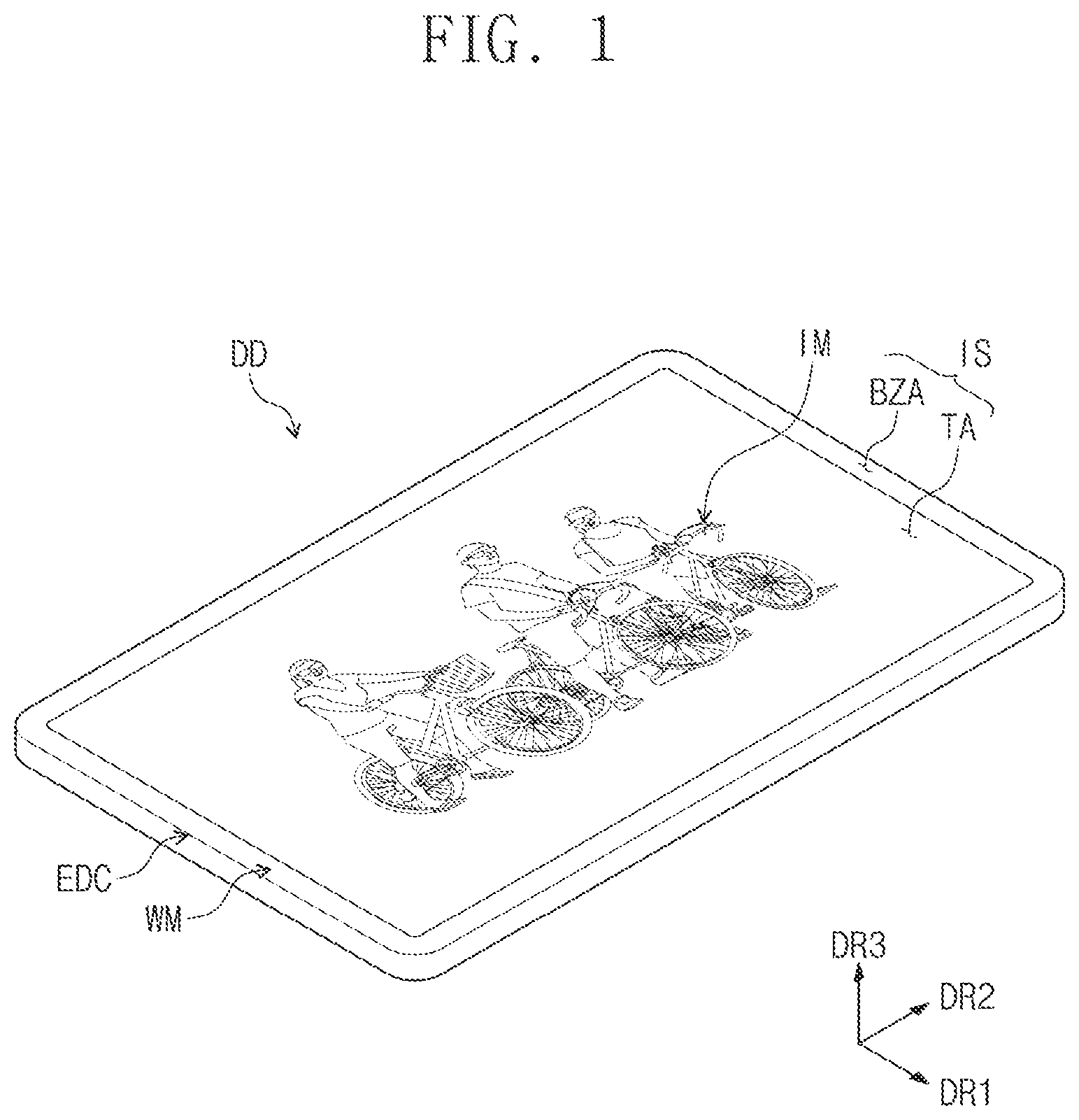 Patent US12433141 — Display device — Figure 1