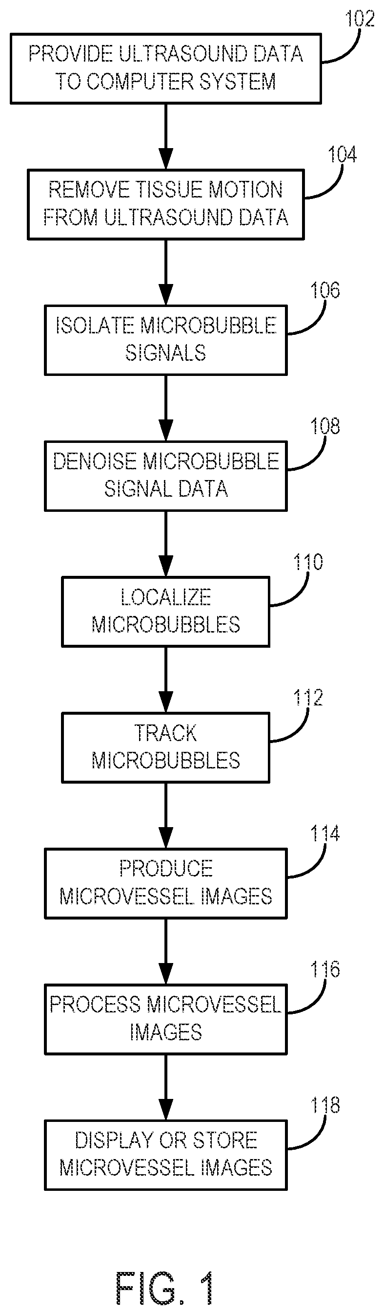Patent US12437363 — Methods for high spatial and temporal resolution ultrasound imaging of microvessels — Figure 1