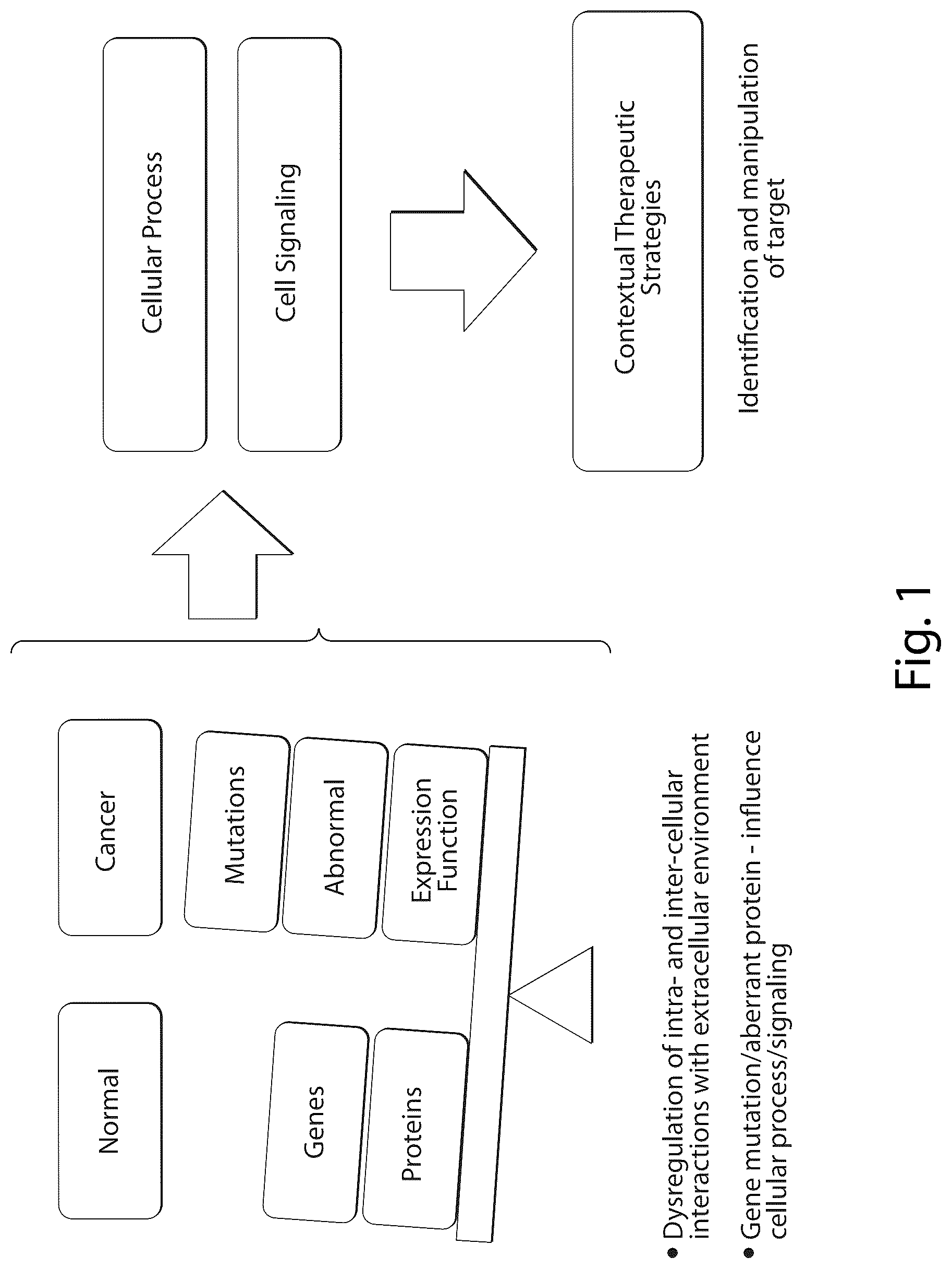 Patent US12437835 — Interrogatory cell-based assays and uses thereof — Figure 1