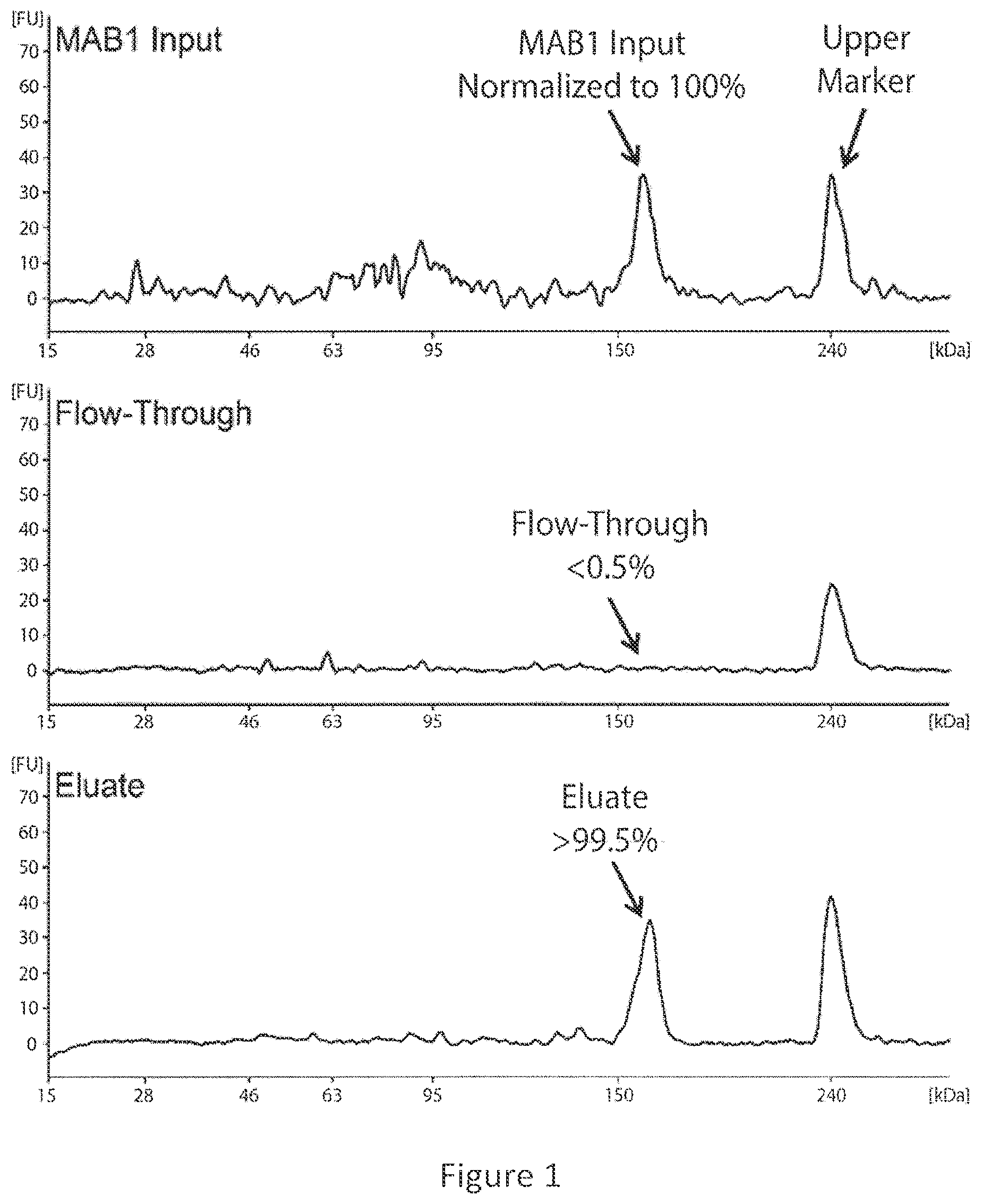 Patent US12437836 — Quantitation and modeling of quality attributes of therapeutic monoclonal antibodies — Figure 1