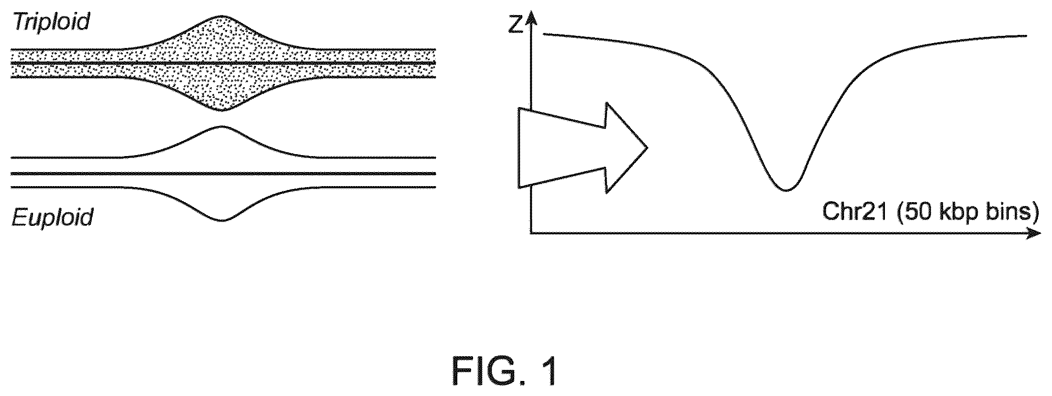 Patent US12437838 — Methods and processes for non-invasive analysis of cell-free fetal nucleic acid according to sequence read quantifications for chromosomes 13, 18, and 21 — Figure 1