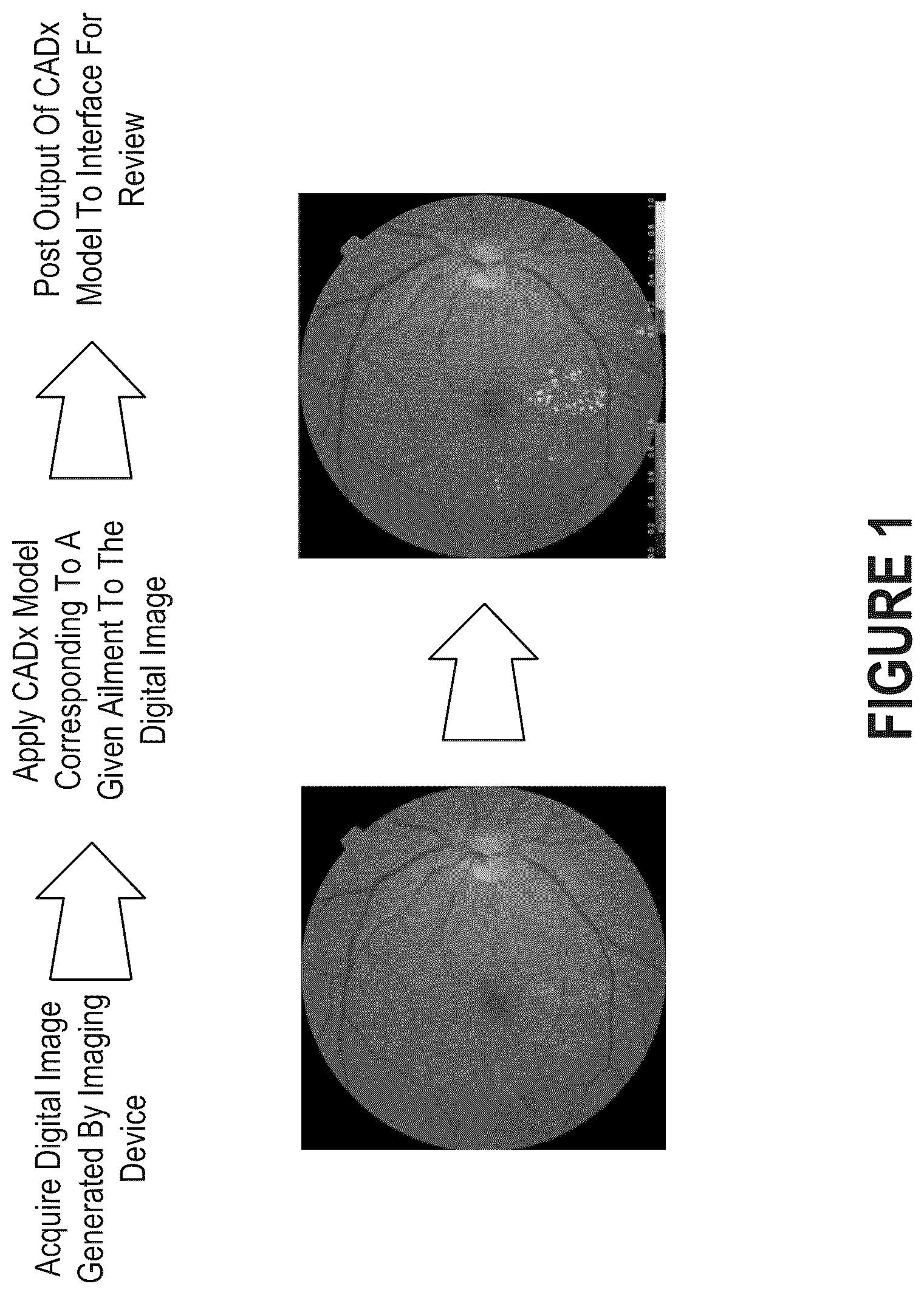 Patent US12437860 — Detection, identification, and verification of patients involved in diagnostic sessions — Figure 1
