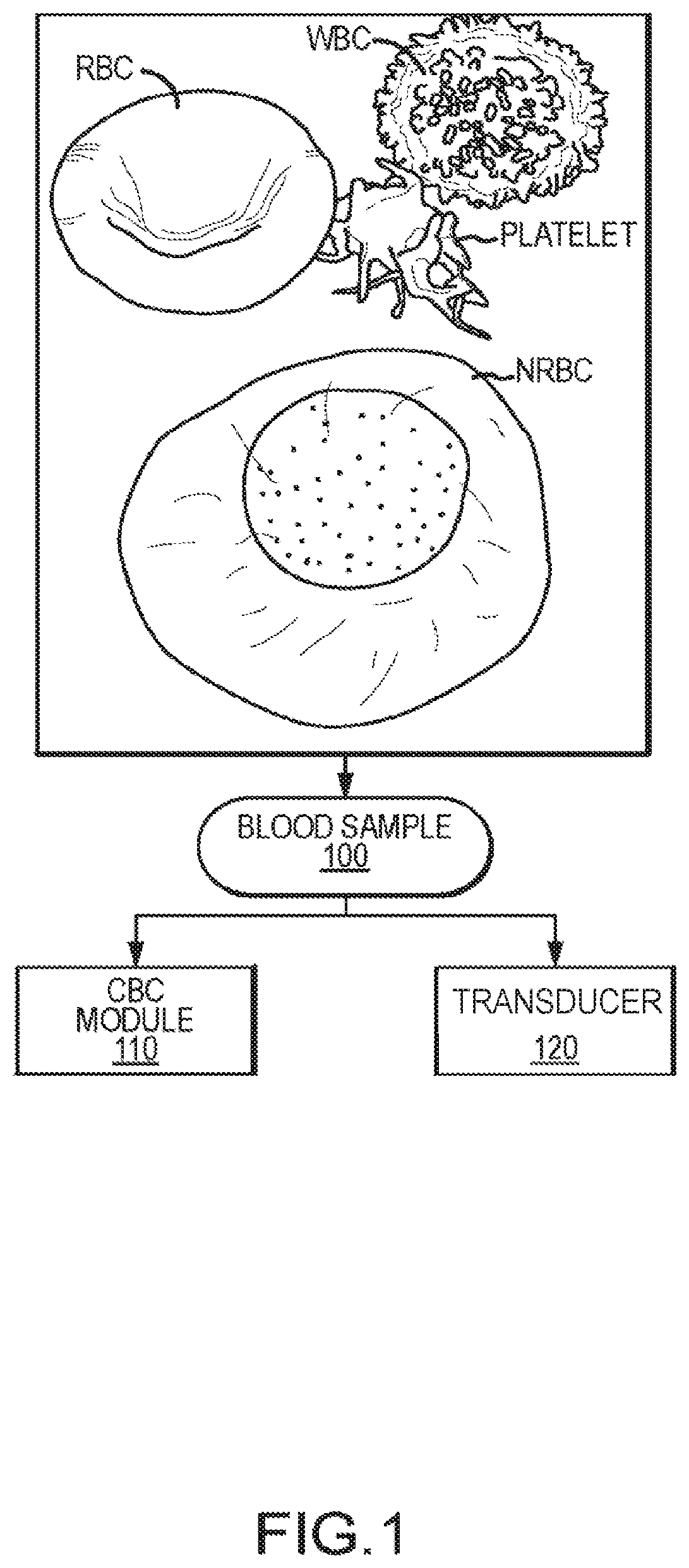 Patent US12437873 — Infection detection and differentiation systems and methods — Figure 1