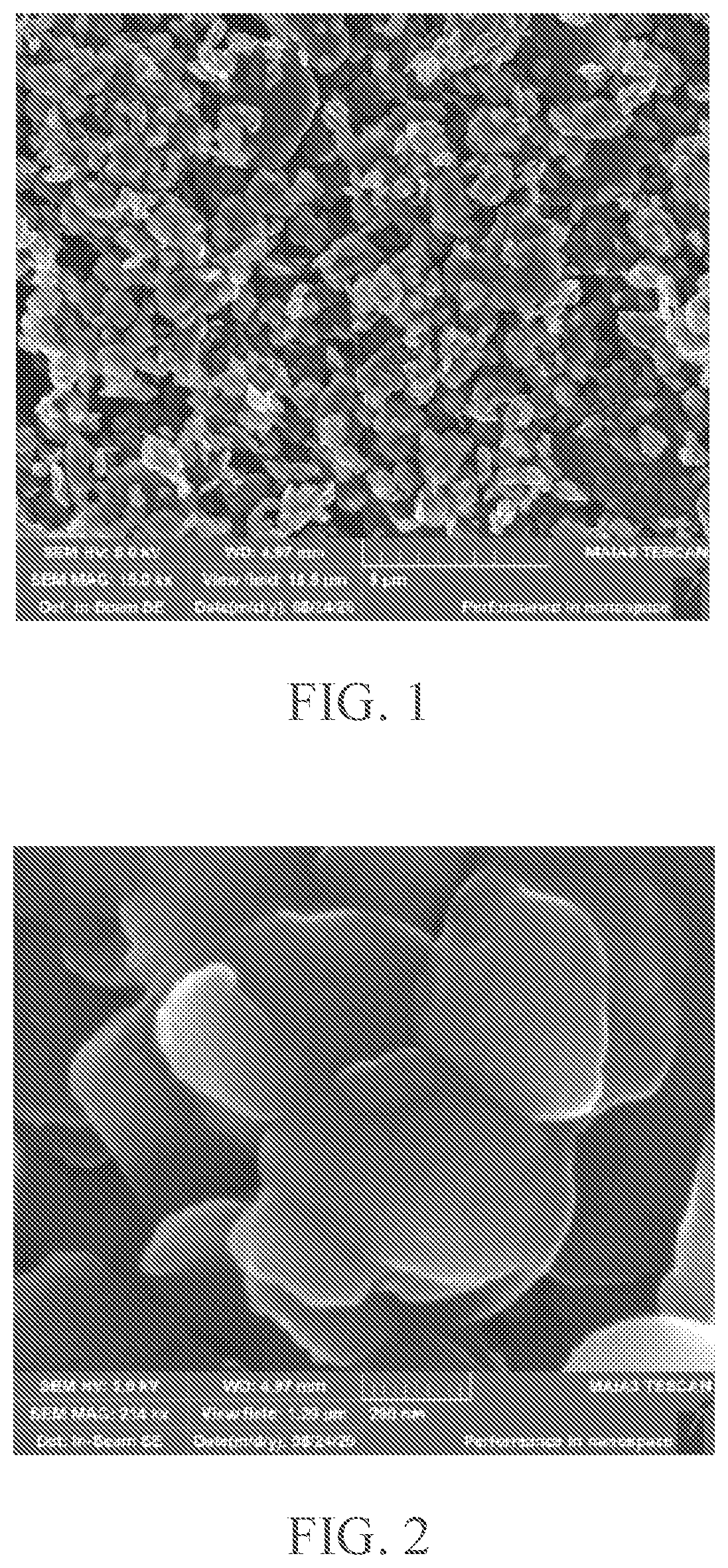 Patent US12448289 — Method of nitrogen-phosphorus doped porous carbon for oxygen reduction electrocatalysis within a wide PH range — Figure 1
