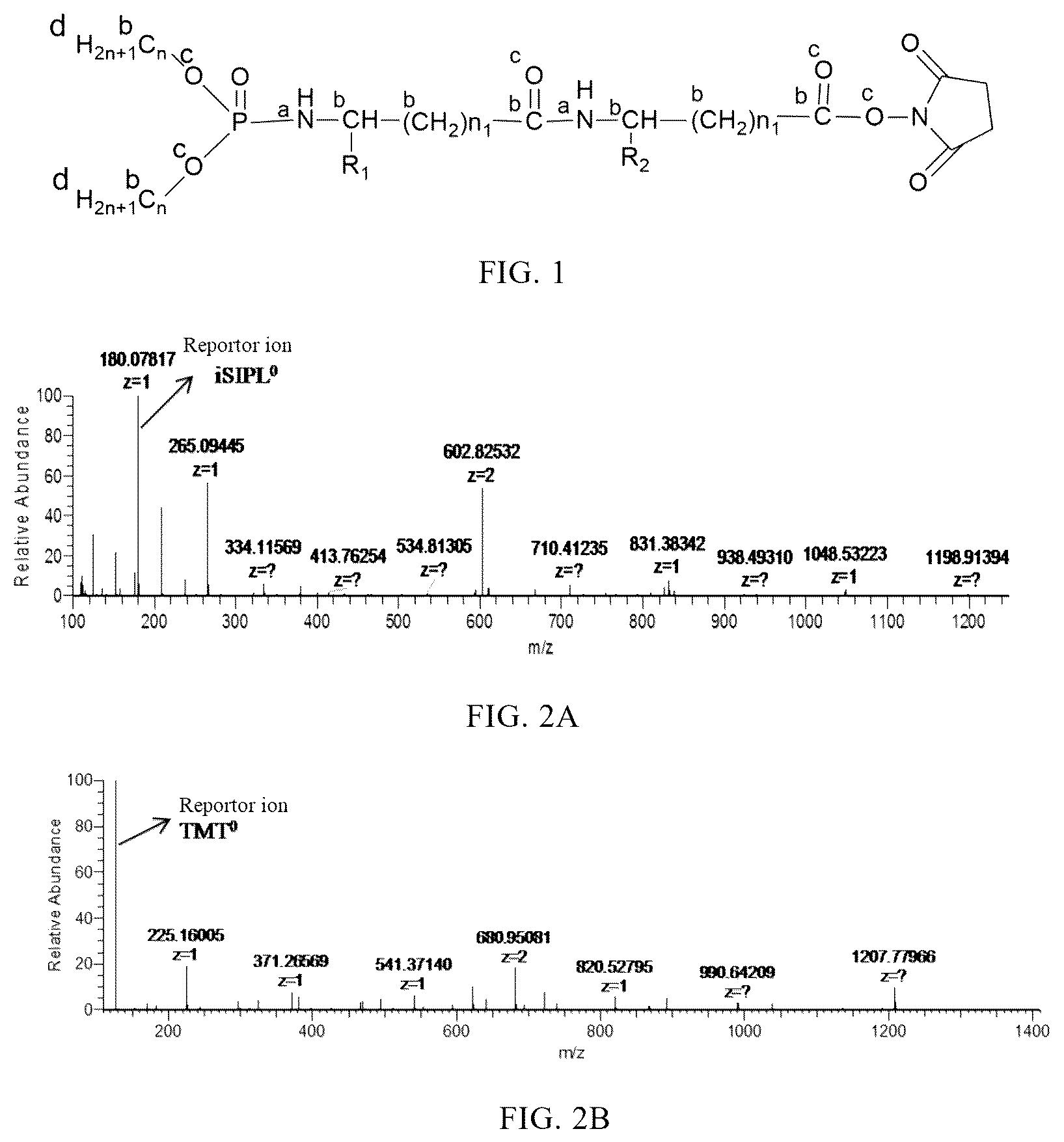 Patent US12448340 — Isobaric stable isotope-containing phosphorylated protein labeling reagent, and preparation method and application thereof — Figure 1
