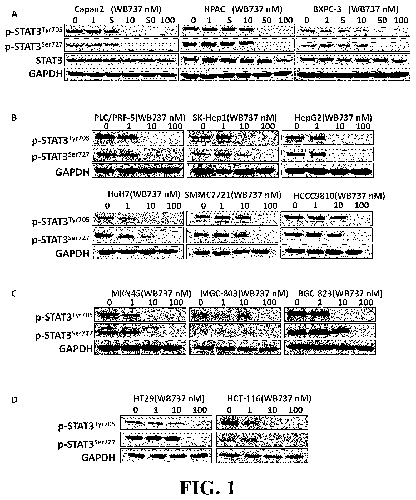 Patent US12448372 Figure 1 – Class of triaromatic compounds targeting bifunctional phosphorylation site of STAT3 and applications thereof