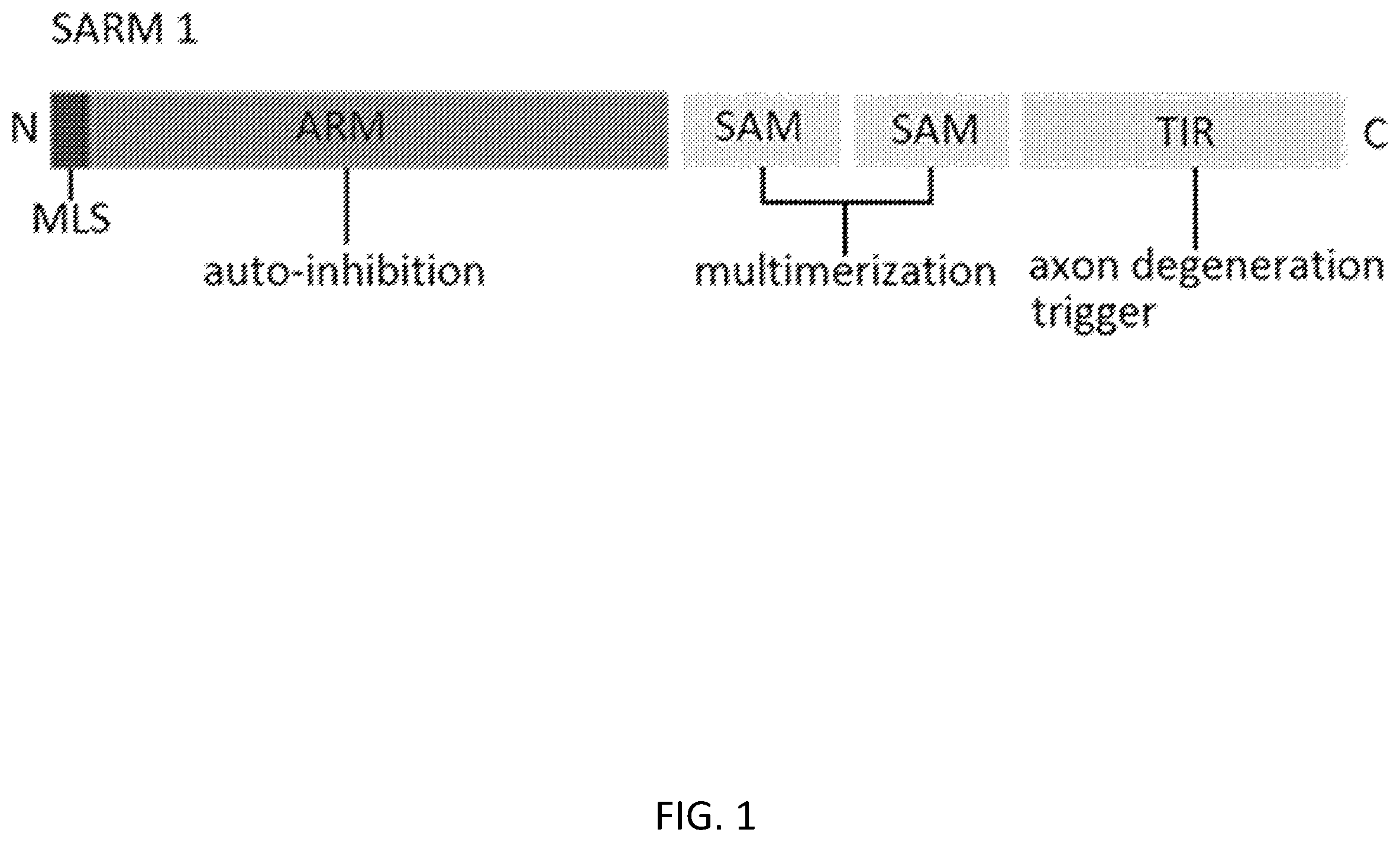 Patent US12448374 Figure 1 – Inhibitors of SARM1