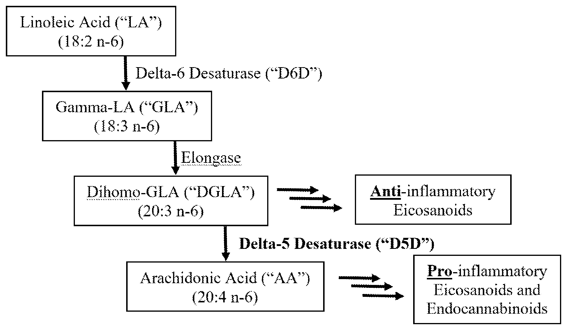 Patent US12448396 — Methods of using heterocyclic compounds as Delta-5 Desaturase inhibitors — Figure 1