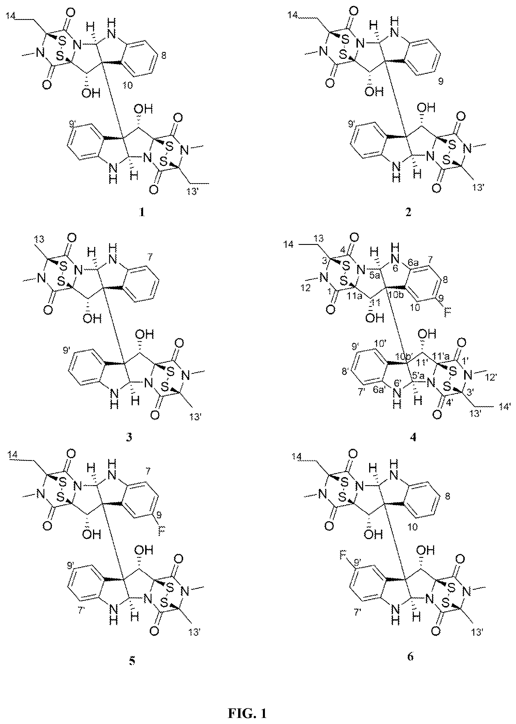 Patent US12448398 — Semi-synthetic analogues of epipolythiodioxopiperazine alkaloids — Figure 1