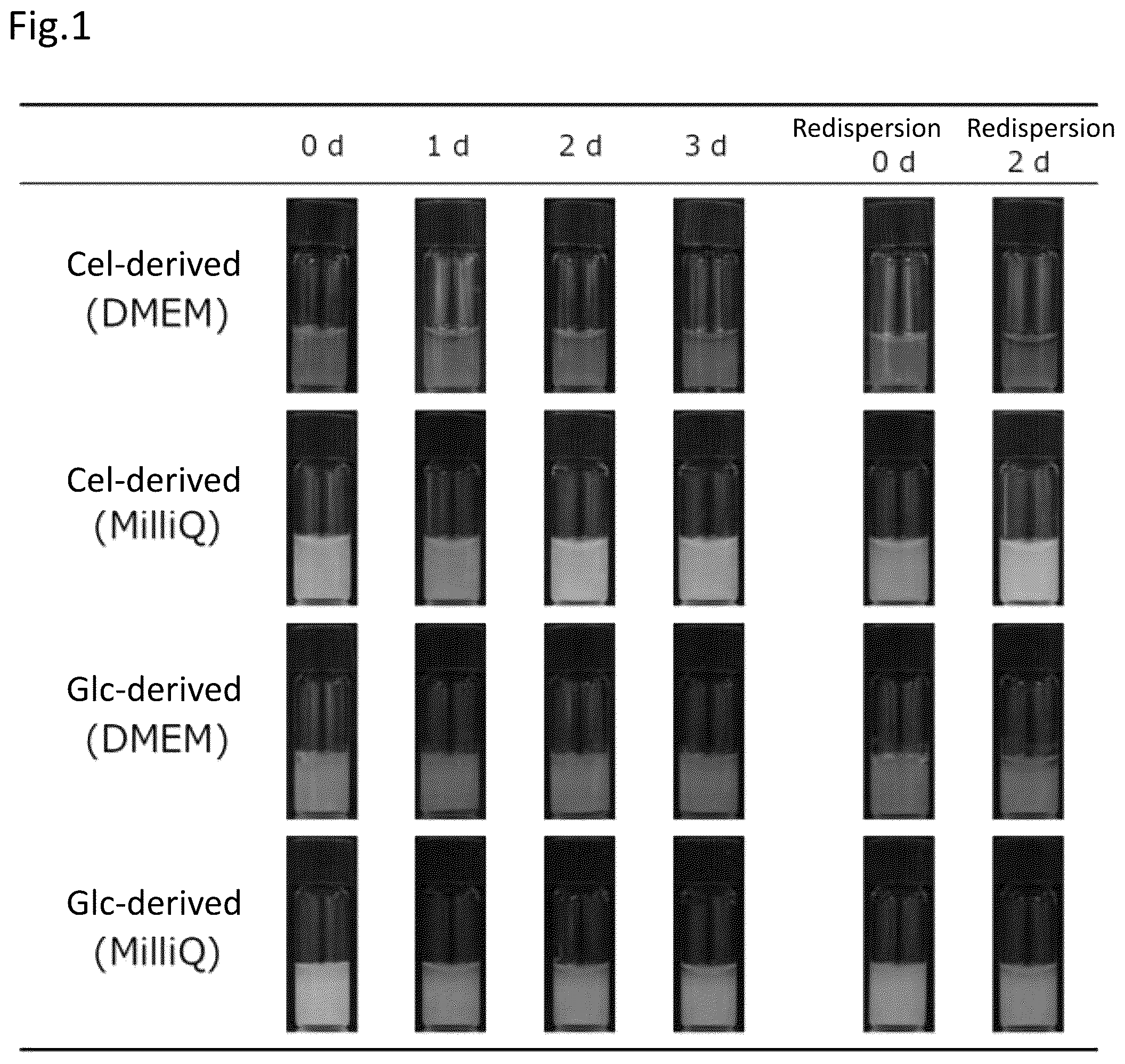 Patent US12448407 — Medium additive for suspension culture, medium composition and culture method — Figure 1