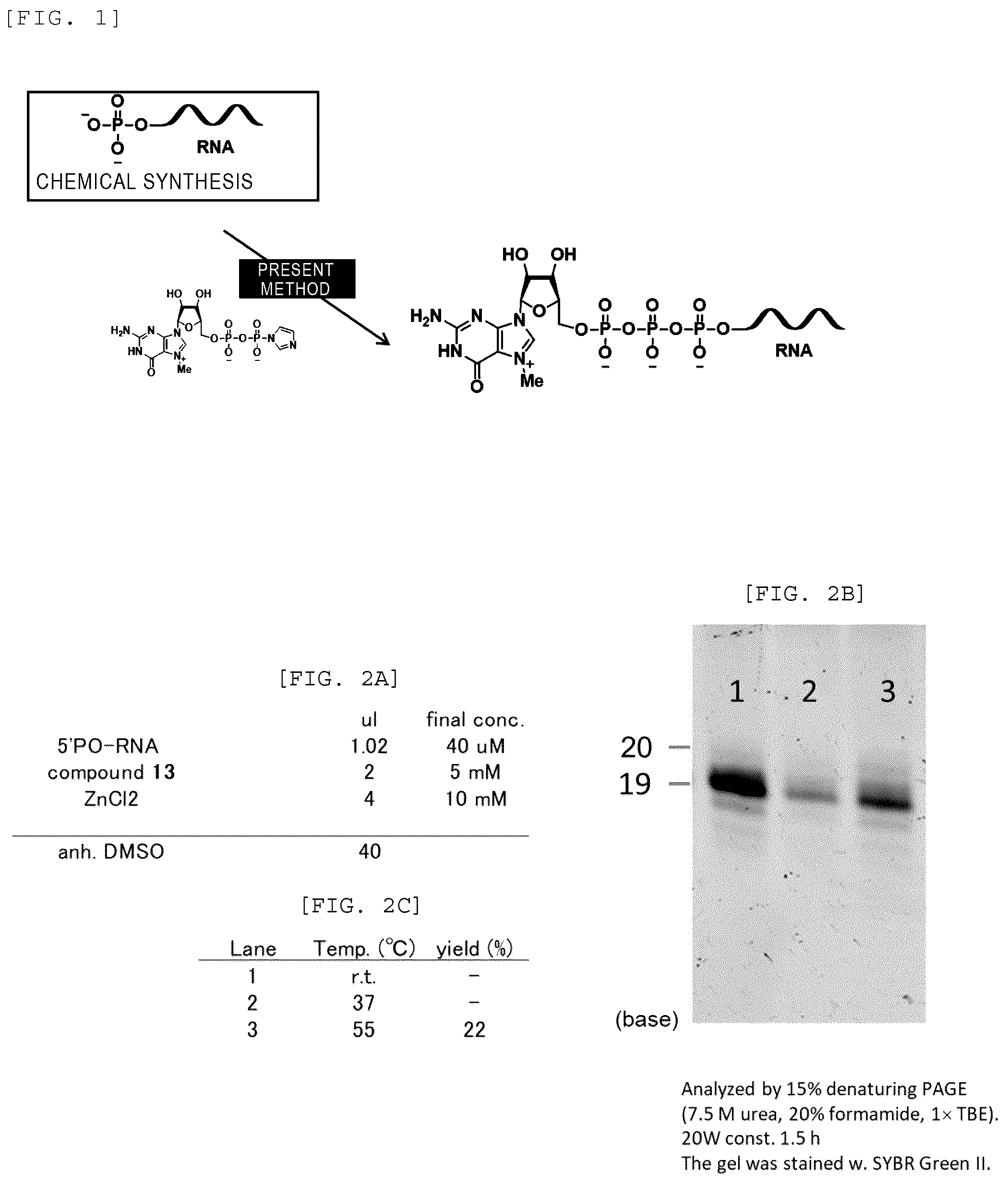 Patent US12448408 Figure 1 – Method for producing capped RNA