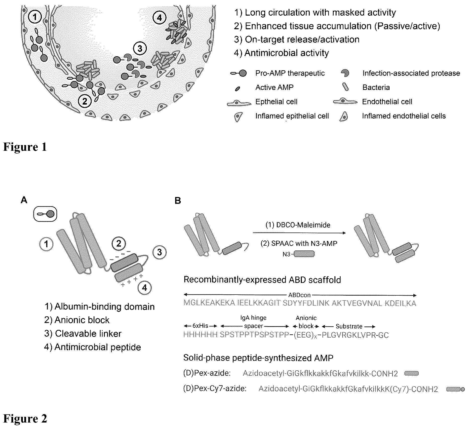 Patent US12448418 Figure 1 – Activatable therapeutic peptides and uses thereof