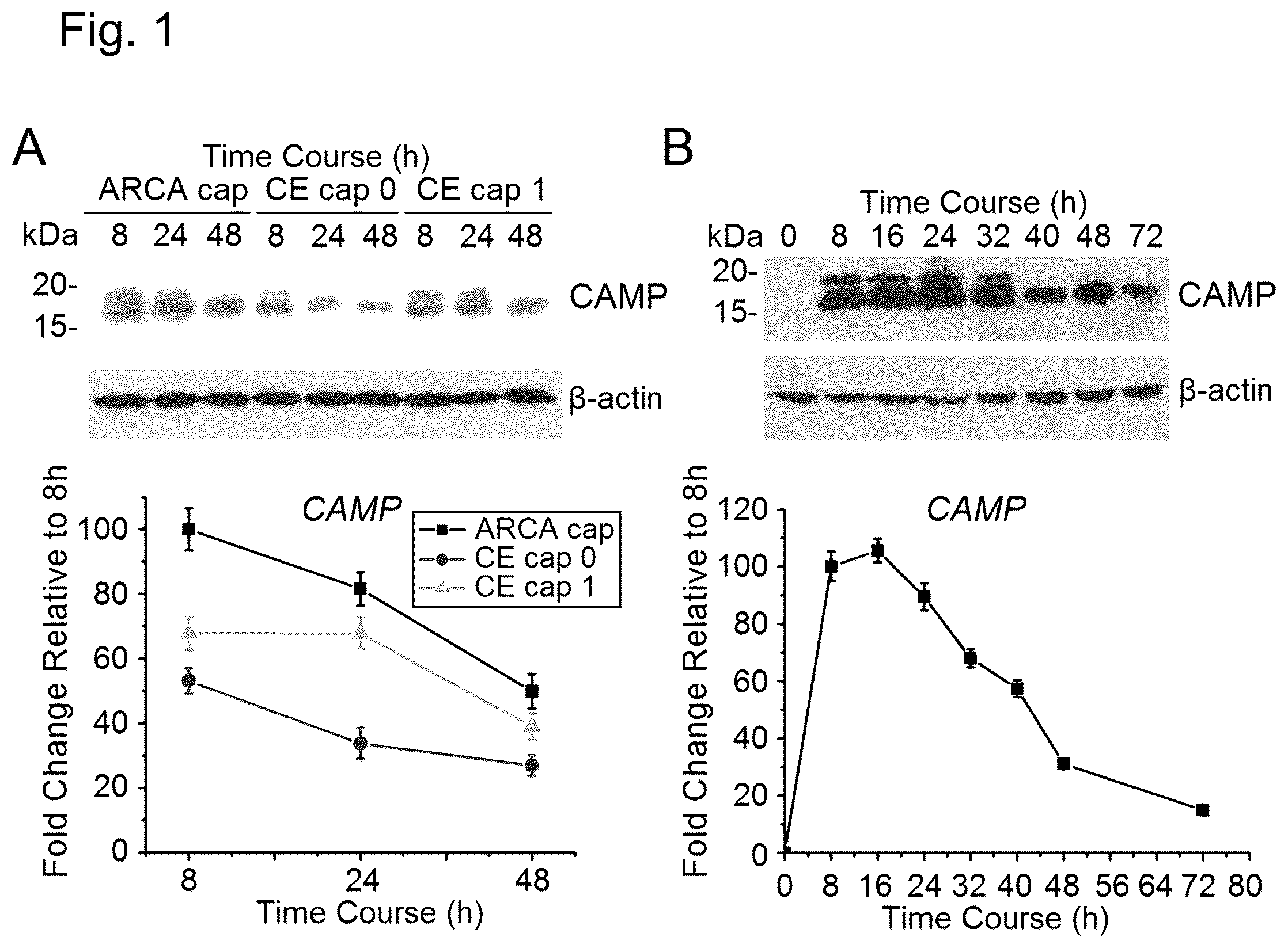 Patent US12448421 — Non-transgene transfection for therapeutic purposes — Figure 1