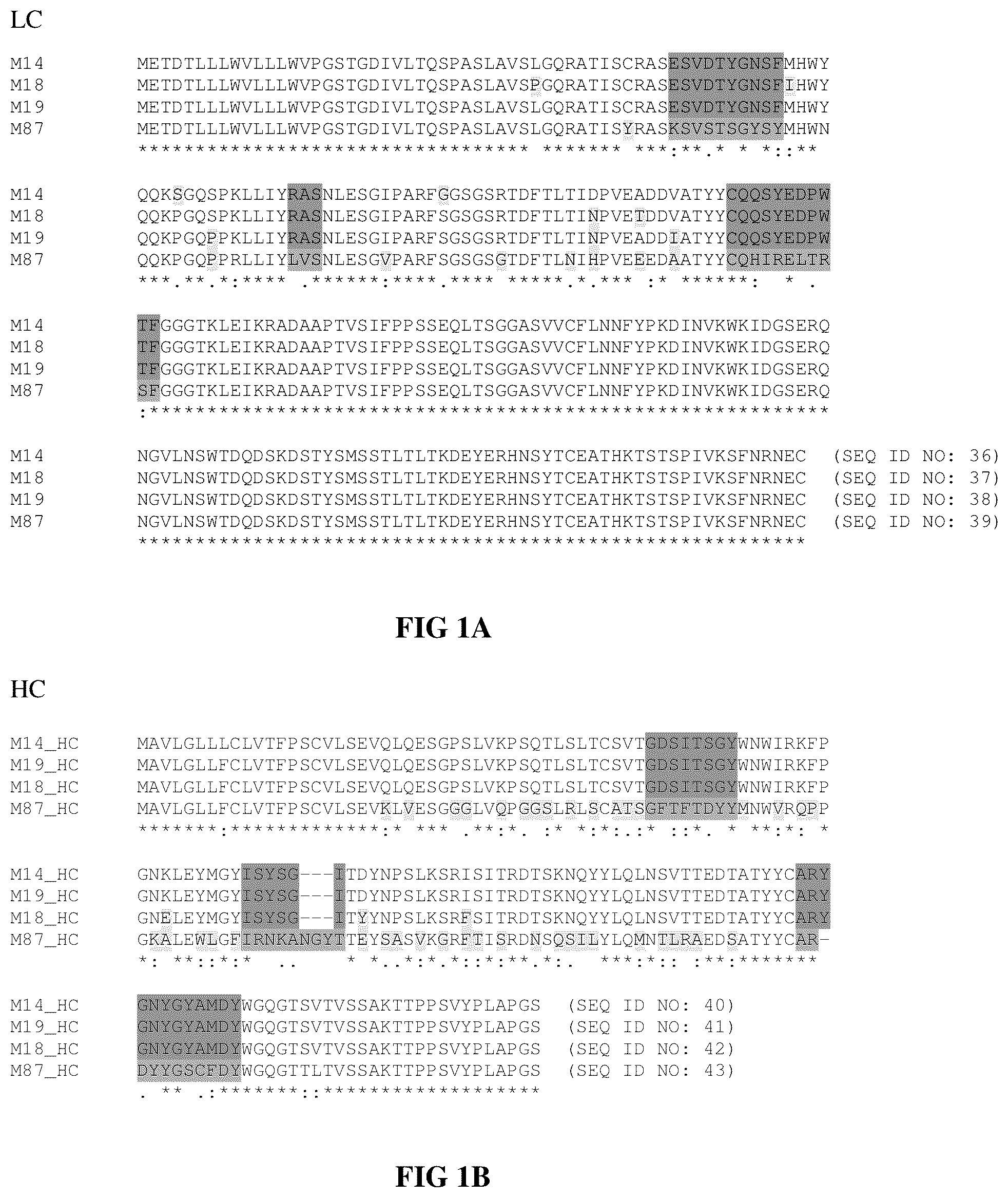 Patent US12448438 Figure 1 – Anti-IL31 antibodies for veterinary use