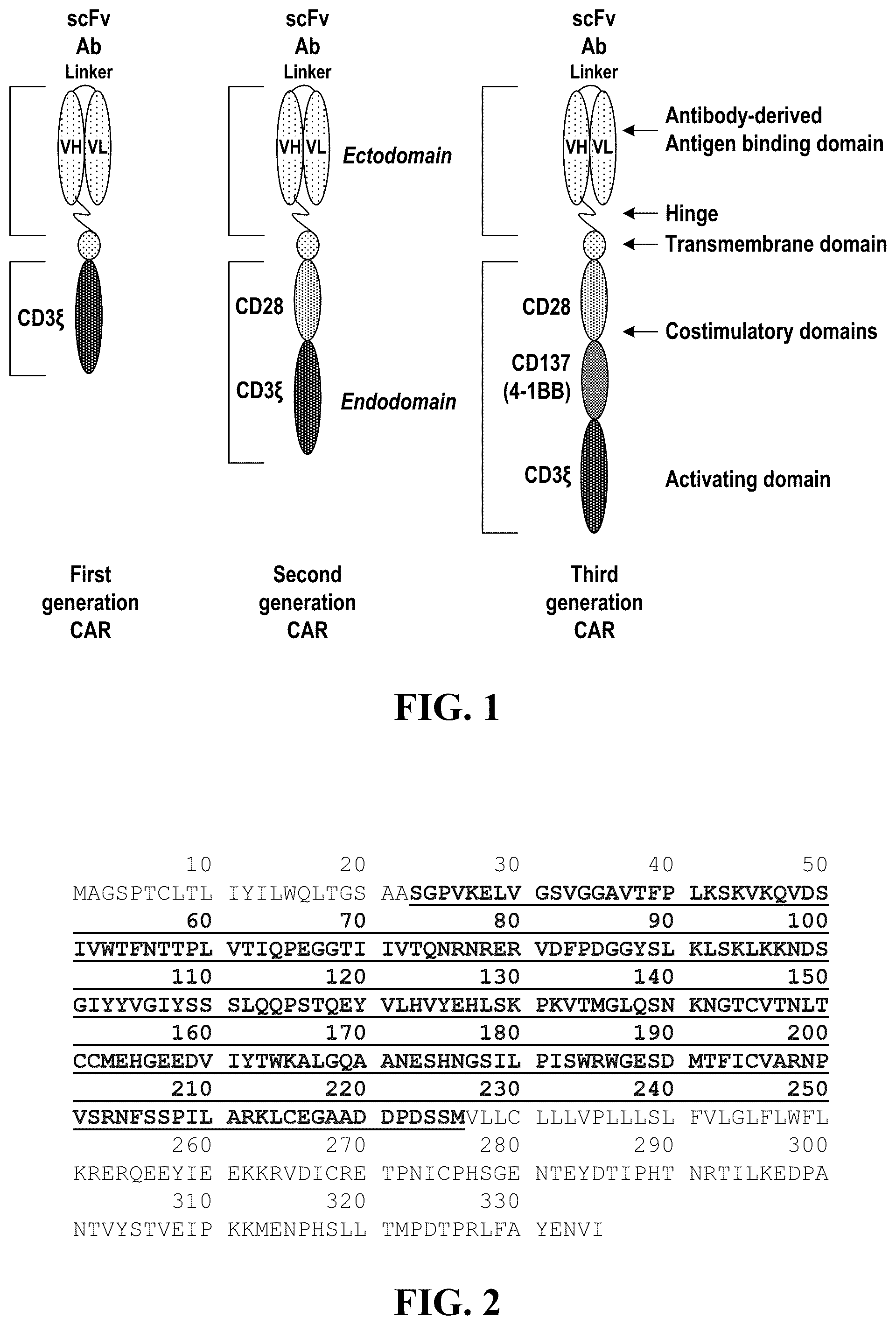 Patent US12448443 — CS1 antibody and anti-CS1-CAR-t cells — Figure 1