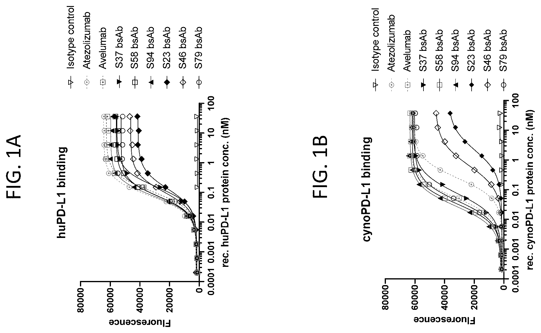 Patent US12448444 — Bispecific antibodies targeting CD47 and PD-L1 and methods of use thereof — Figure 1