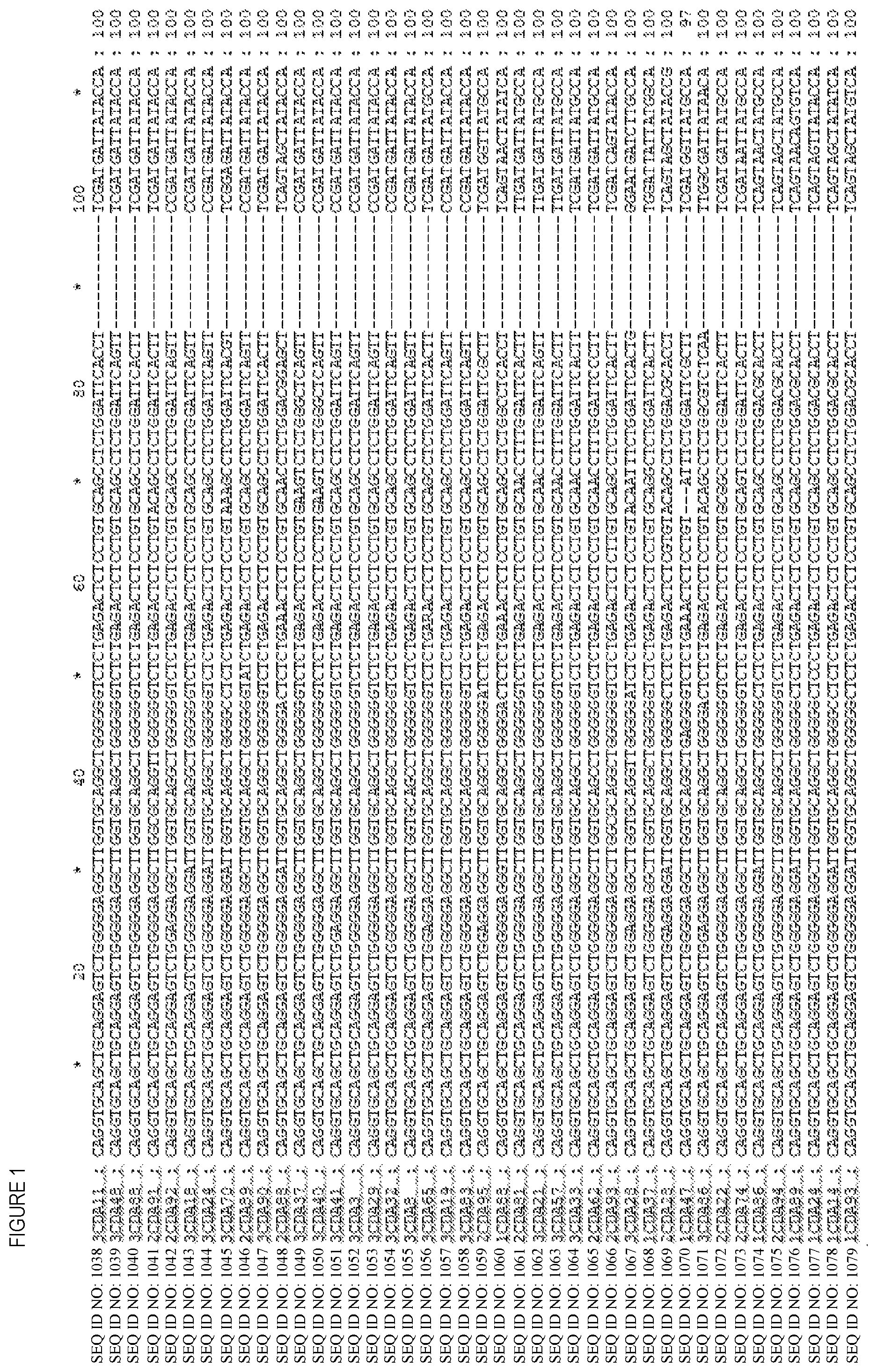 Patent US12448447 Figure 1 – CD8 binding agents