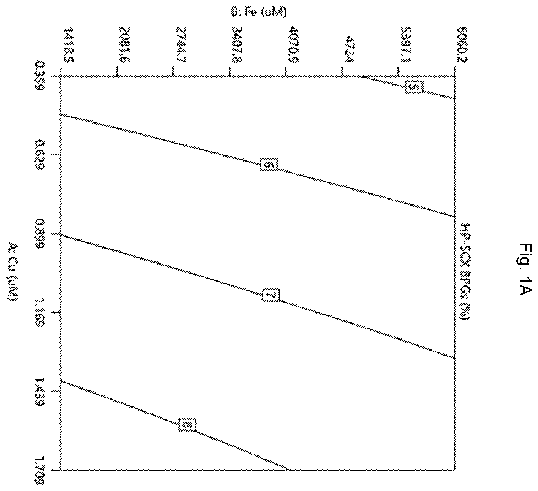Patent US12448456 — Method for producing spesolimab — Figure 1