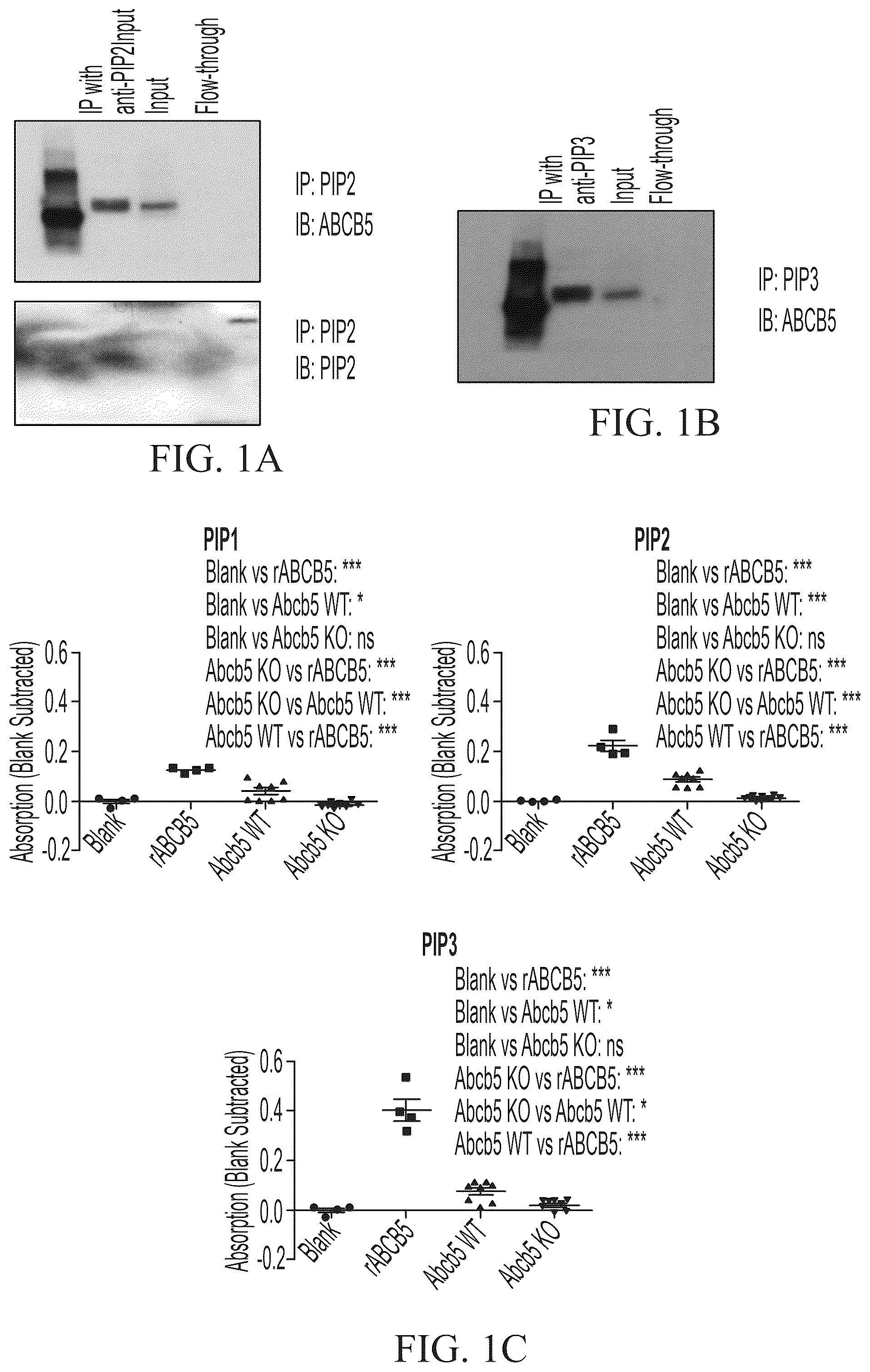 Patent US12448461 — ABCB5 ligands and substrates — Figure 1