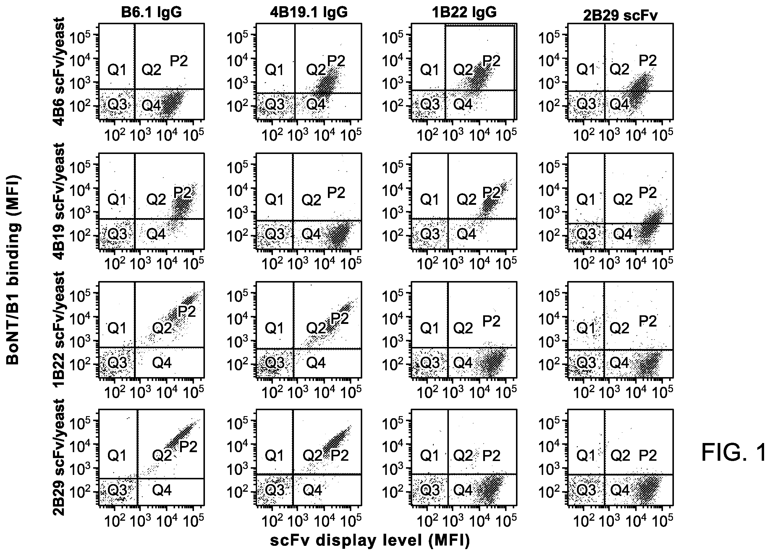 Patent US12448463 — Antibodies for botulinum neurotoxins — Figure 1