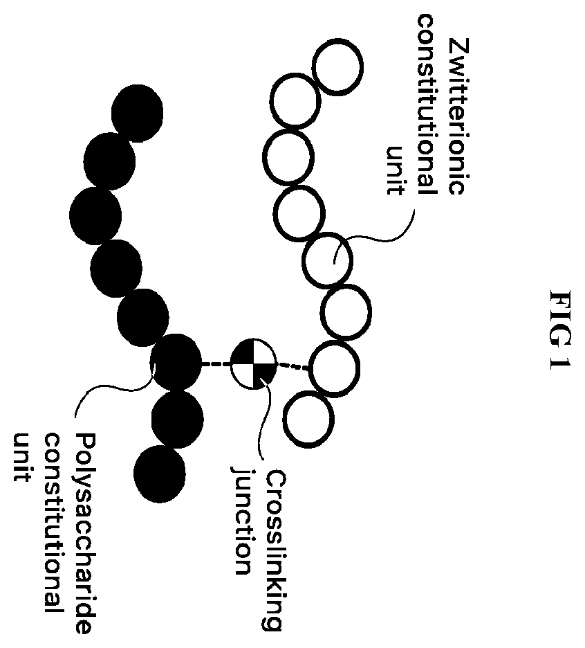 Patent US12448498 — Hydrogel compositions based on polysaccharides and zwitterionic polymers, and methods for their use — Figure 1