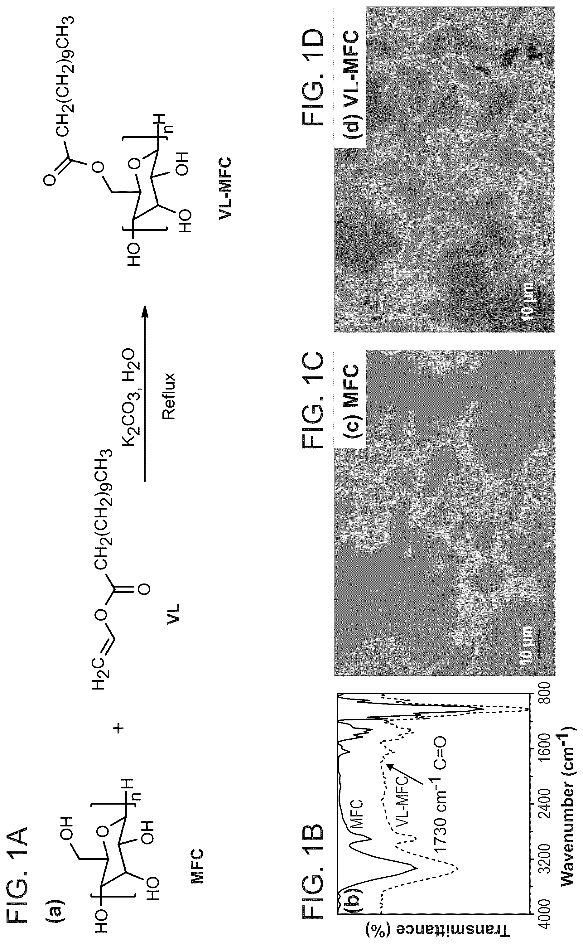 Patent US12448512 — Surface-modified and dried microfibrillated cellulose reinforced thermoplastic biocomposites — Figure 1