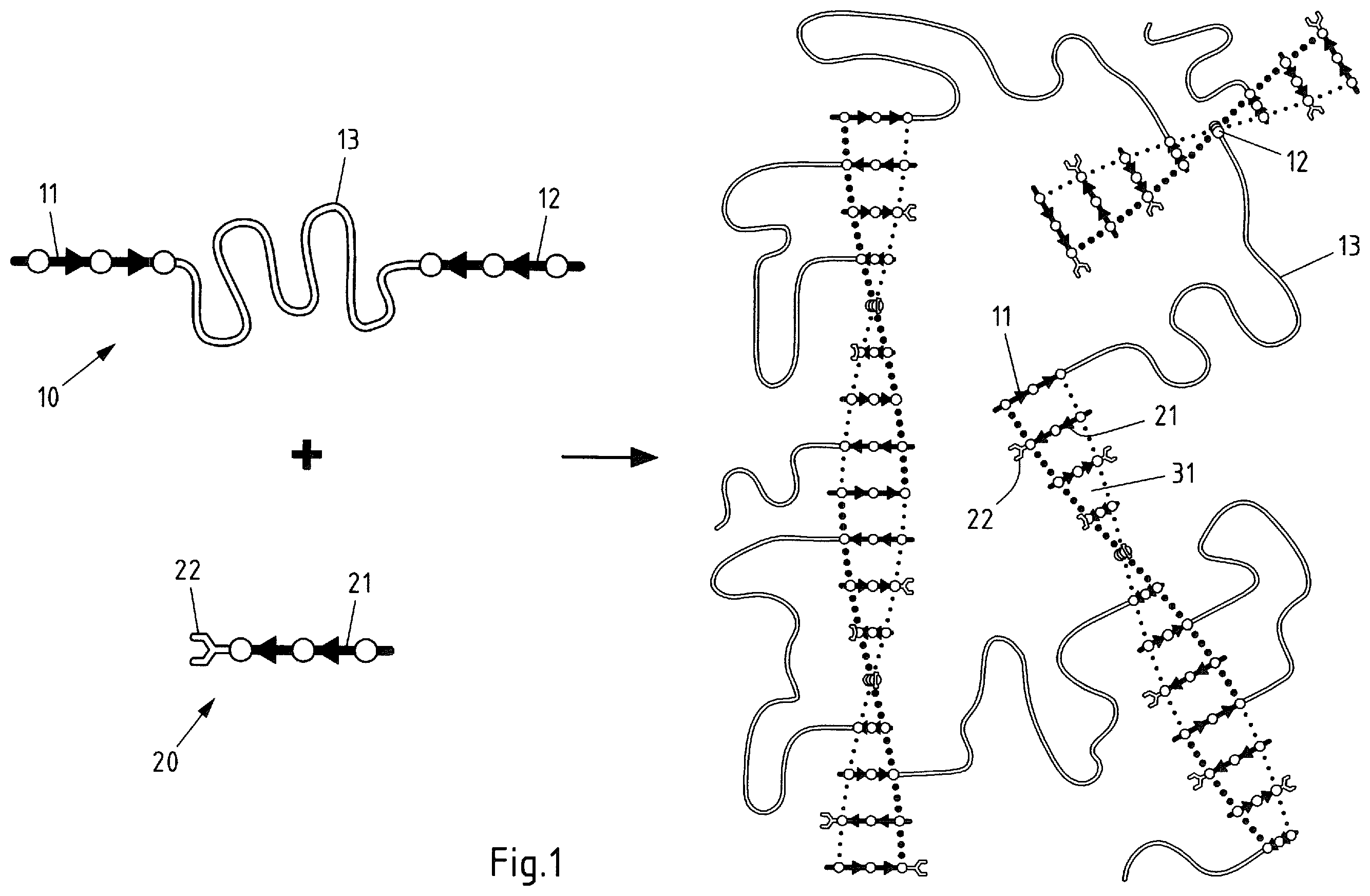 Patent US12448513 Figure 1 – Composition and method for the preparation of sheets, films, fibers, and molded parts
