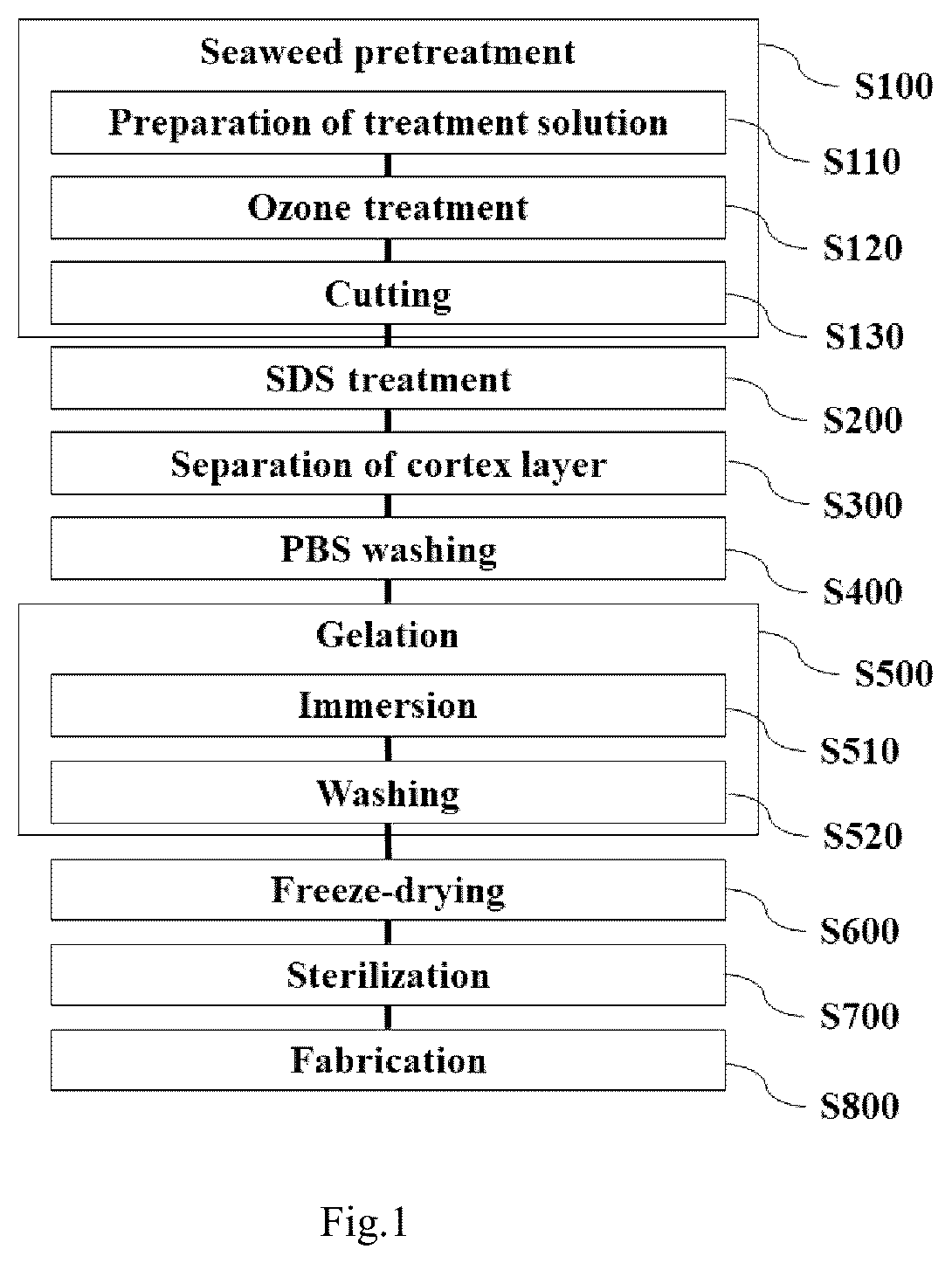 Patent US12448596 — Scaffold for cell culture and manufacturing method thereof — Figure 1