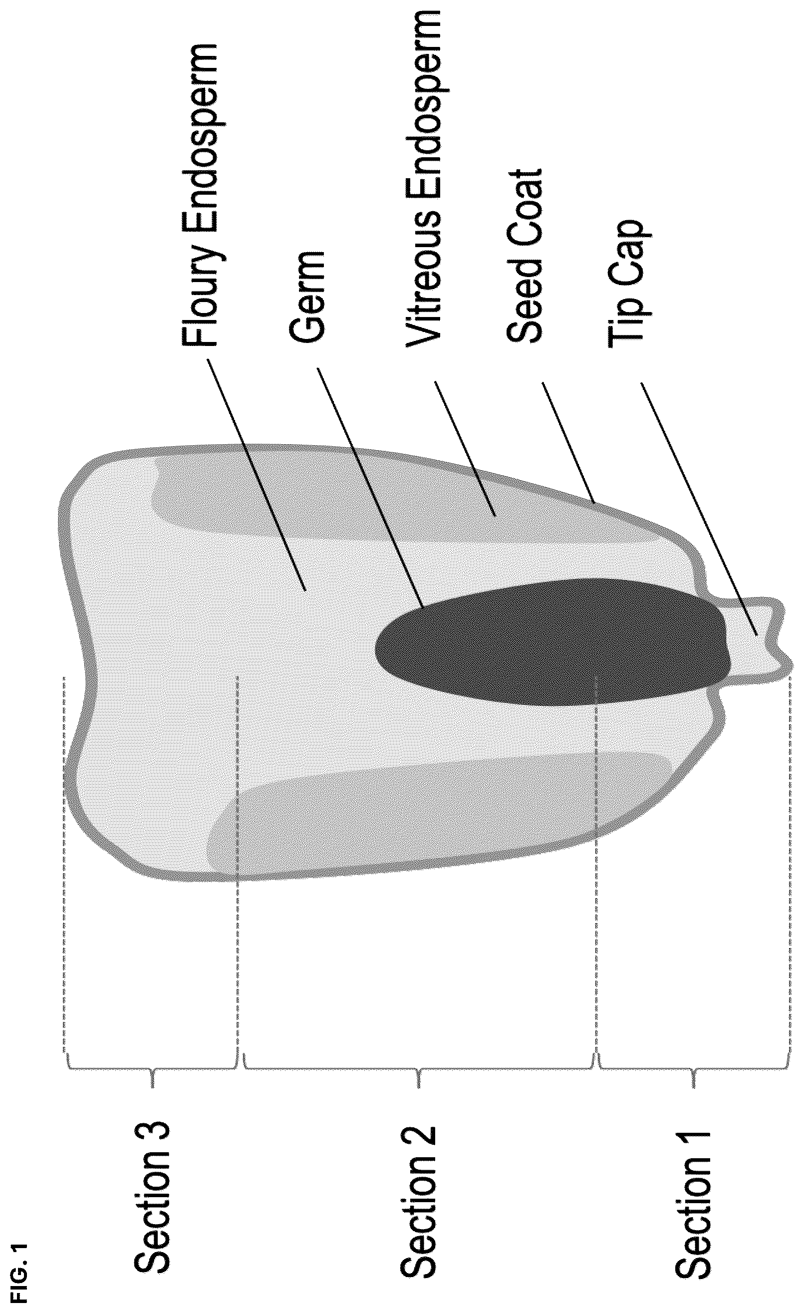 Patent US12448600 — Extraction of antimethanogenic compounds — Figure 1