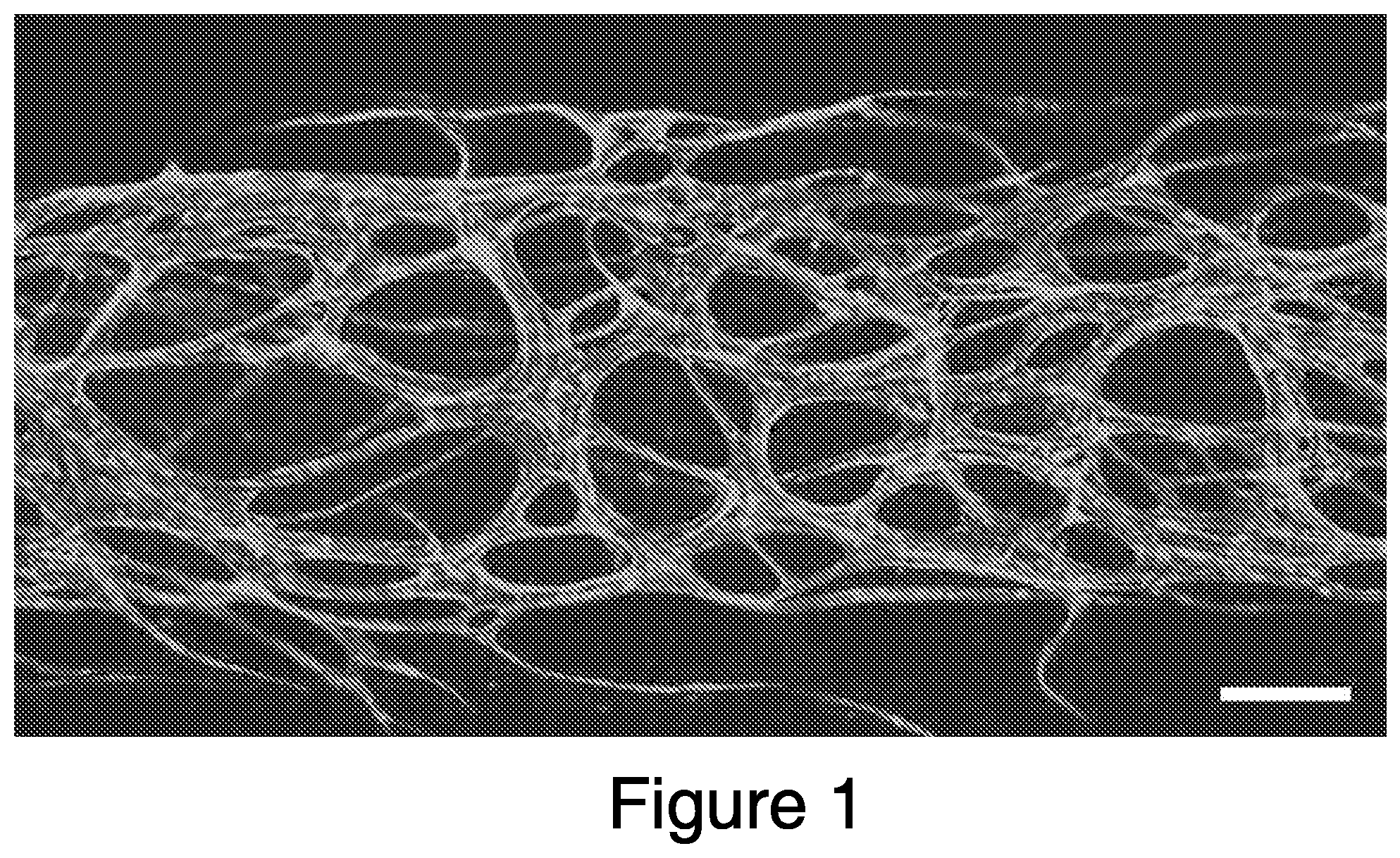 Patent US12448607 — Systems and methods for multilane vasculature — Figure 1