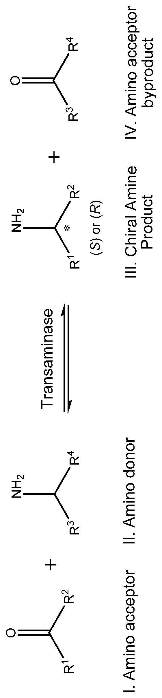 Patent US12448611 — Transaminase polypeptides — Figure 1