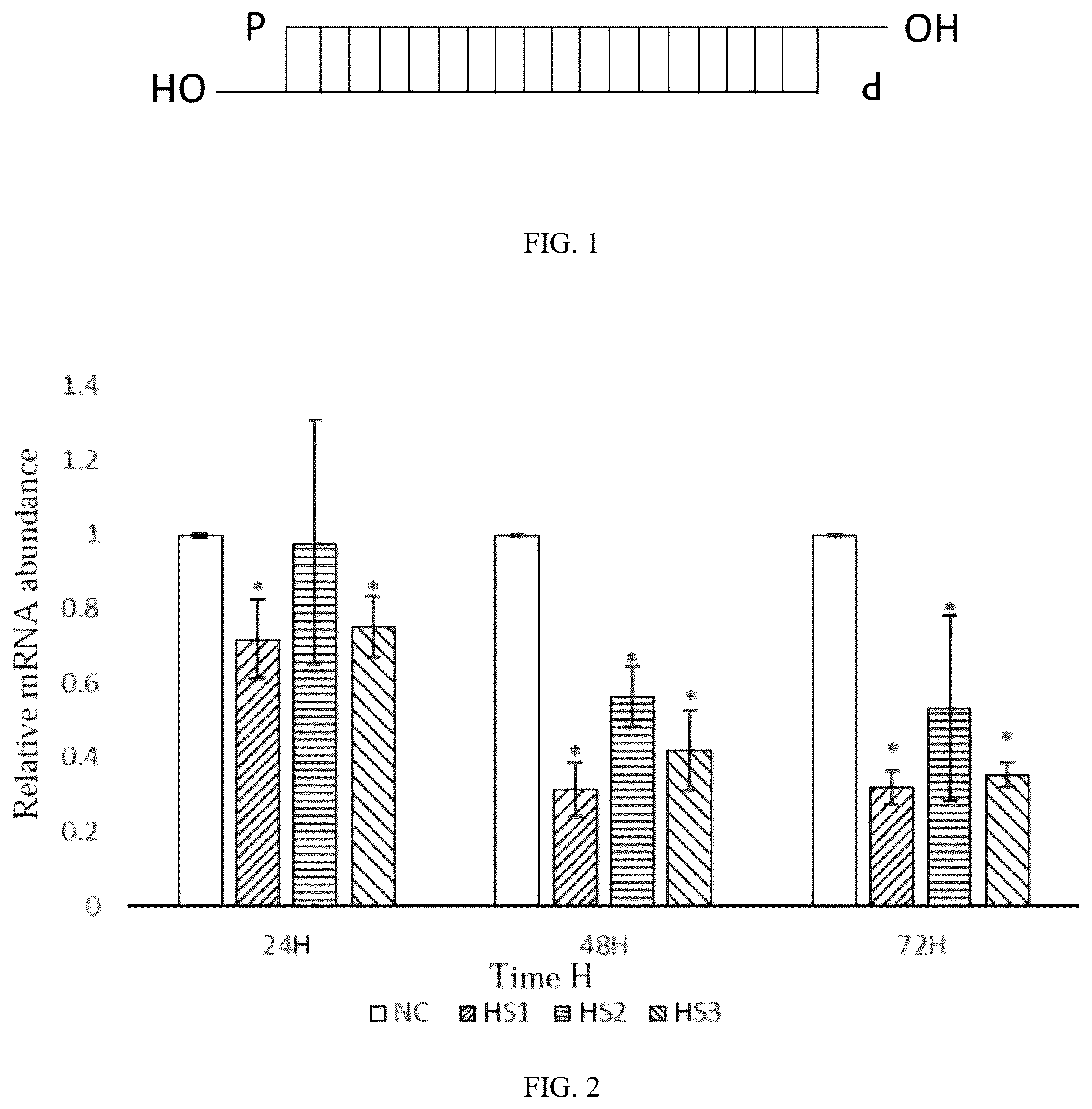 Patent US12448623 Figure 1 – siRNA specifically binding to M2 macrophage CD206 and application thereof