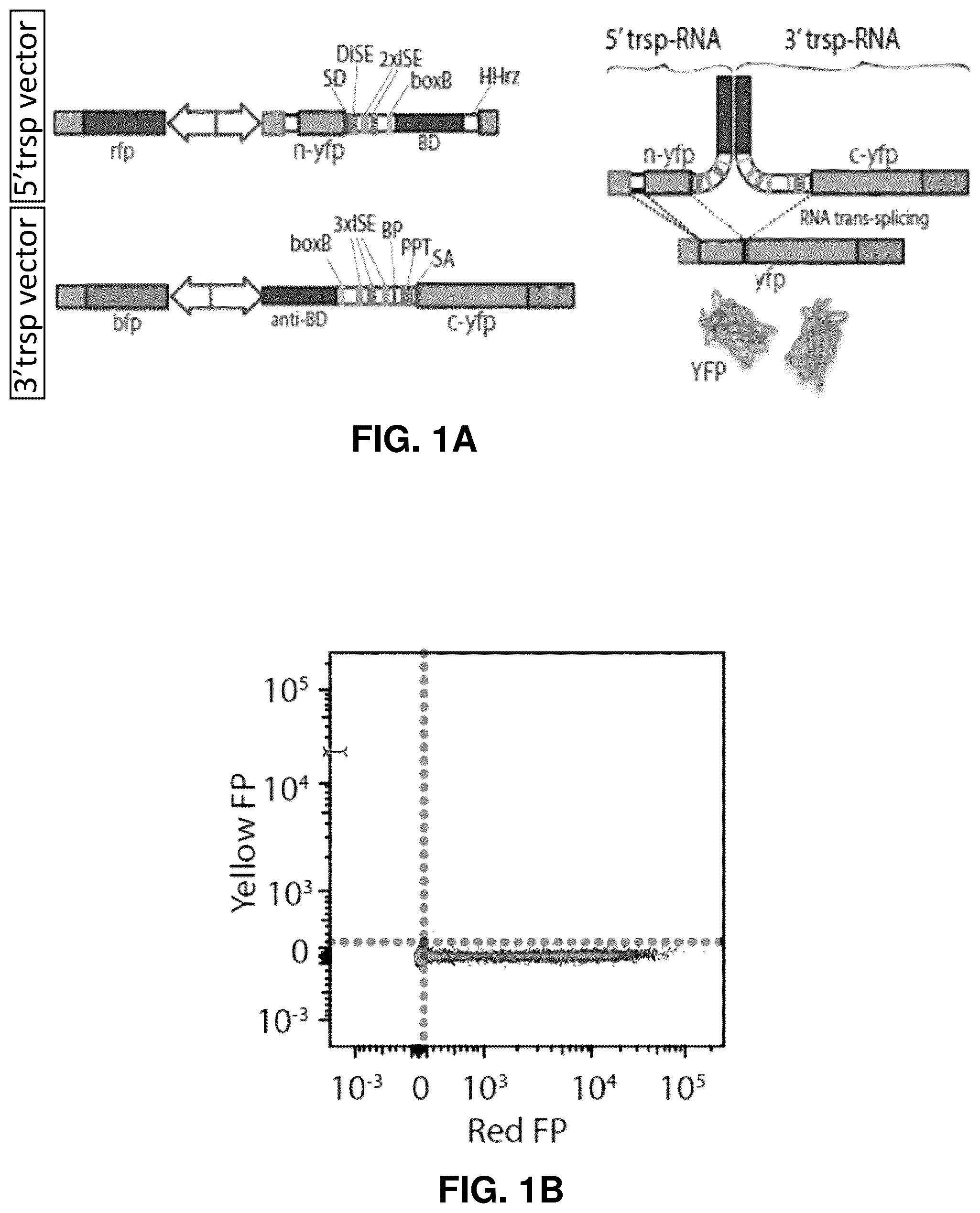 Patent US12448636 — High-efficiency reconstitution of RNA molecules — Figure 1