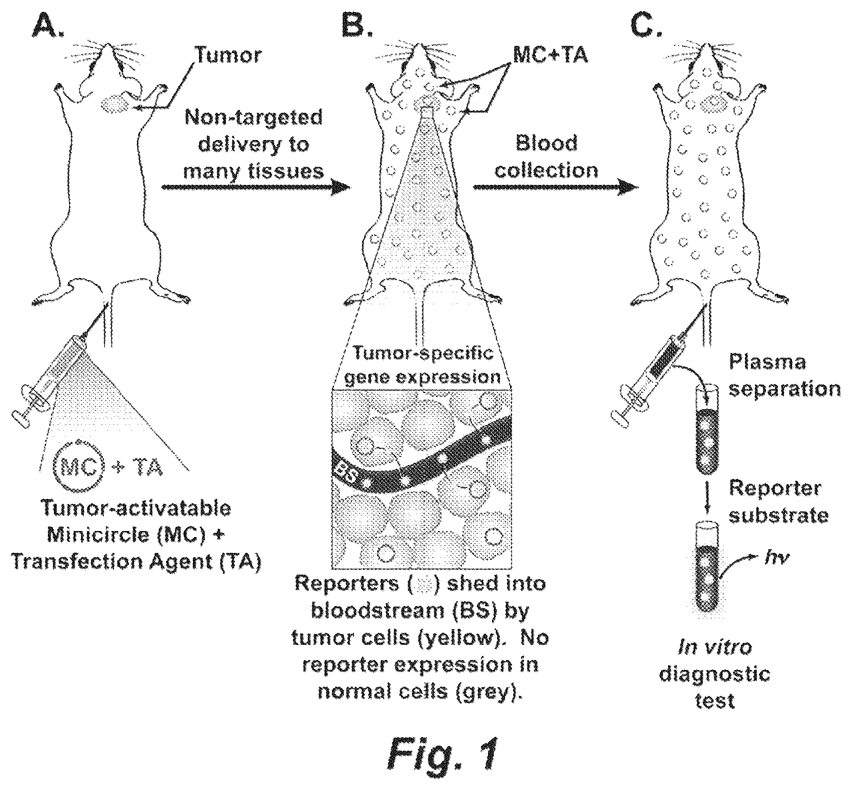 Patent US12448652 — Methods and compositions for synthetic biomarkers — Figure 1