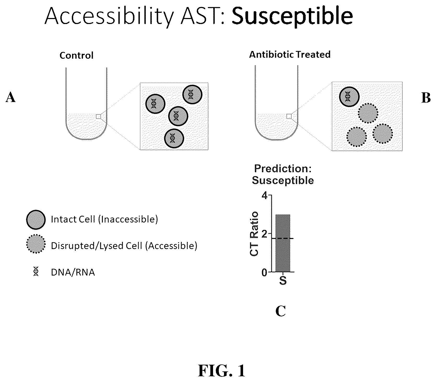 Patent US12448655 — Antibiotic susceptibility of microorganisms and related methods and systems — Figure 1