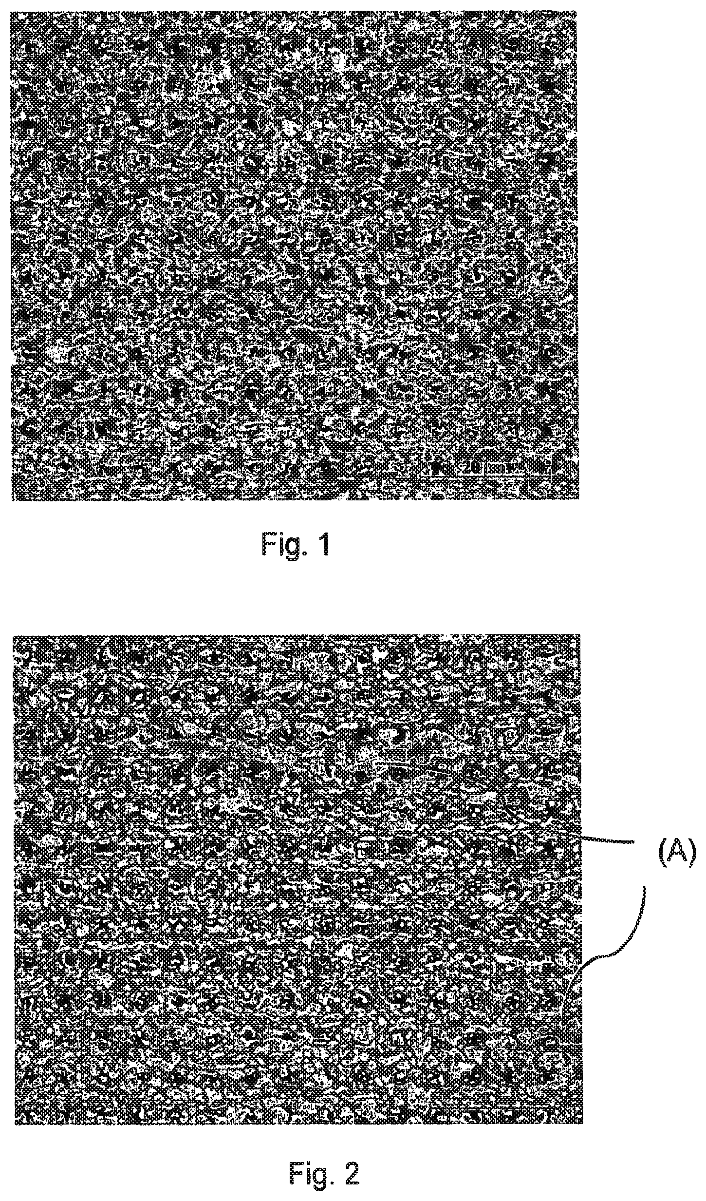 Patent US12448661 — Very high-strength, cold-rolled, dual steel sheets — Figure 1
